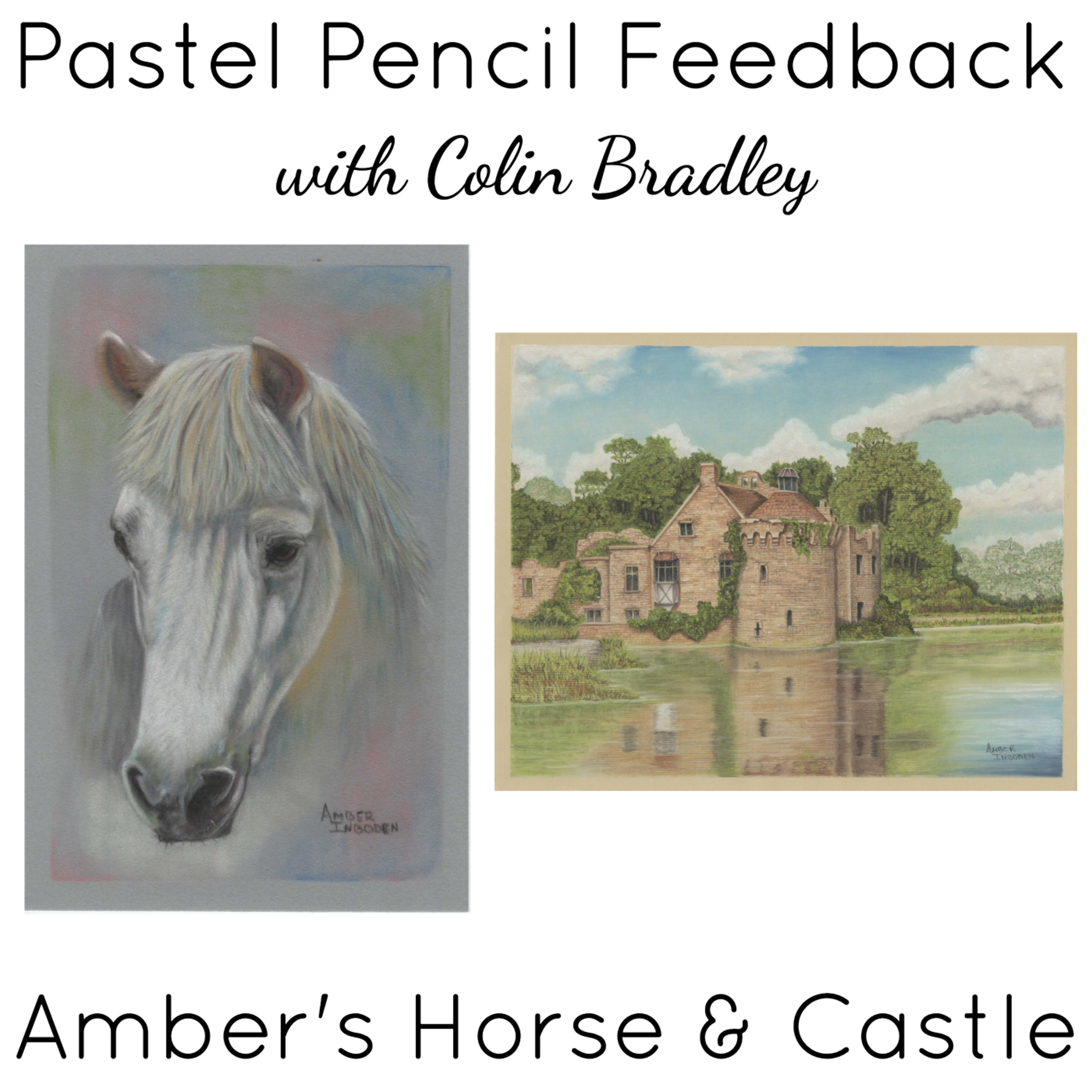 Amber's Horse and Castle