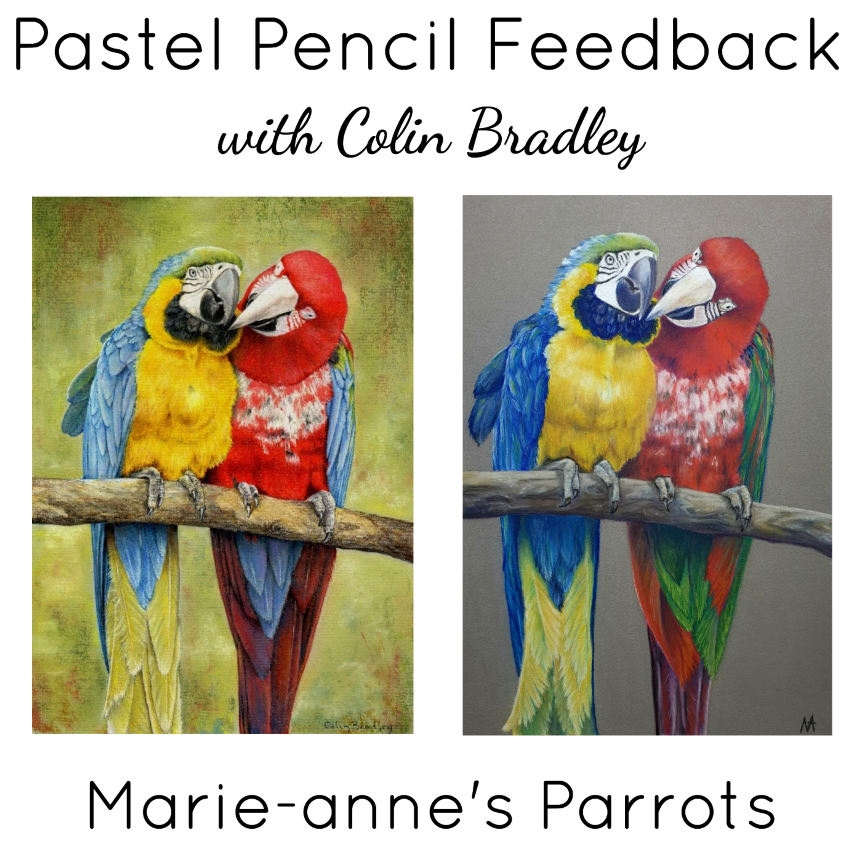 Advice on a Pastel Background for Marie-anne