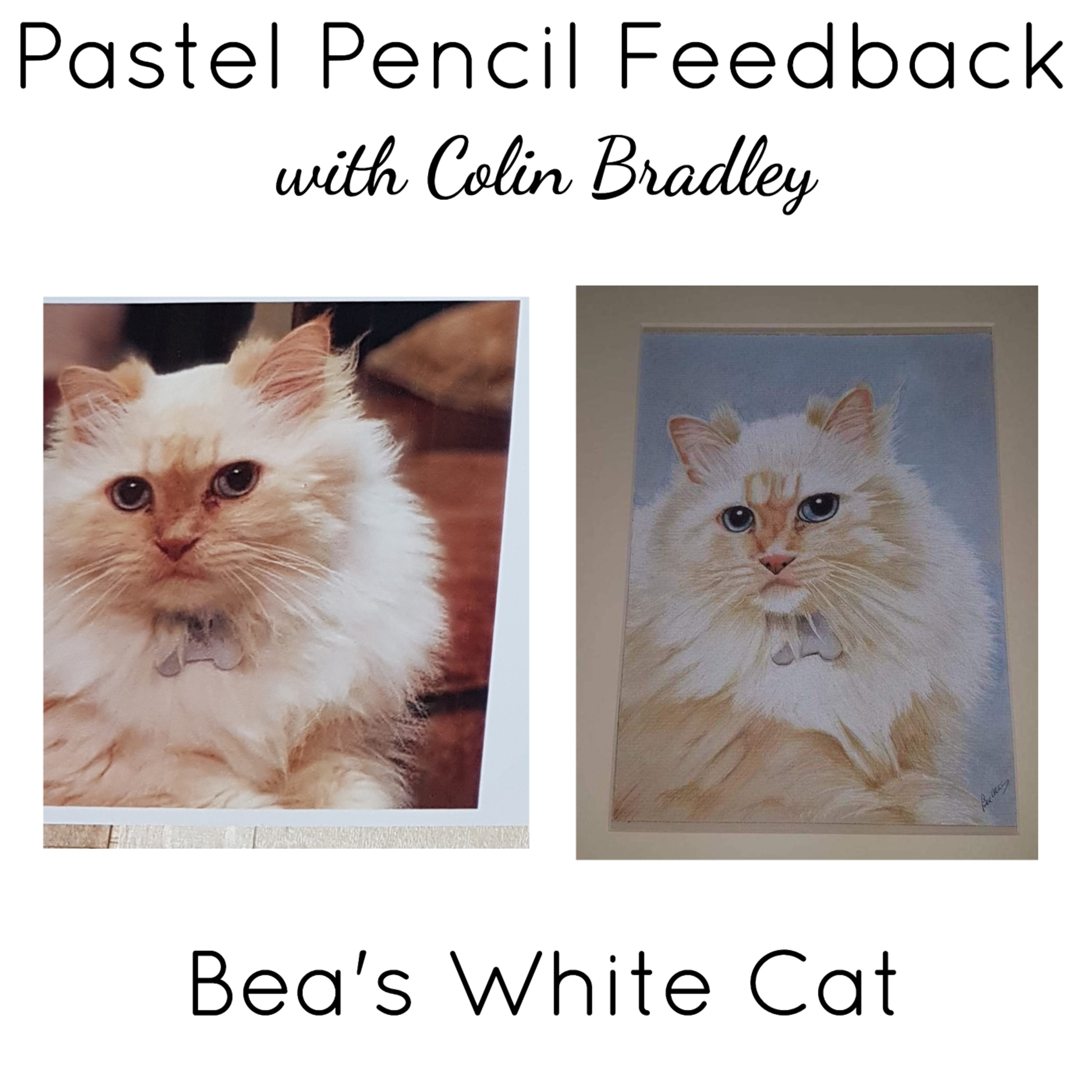 Advice on Bea's White Cat - Pricing & Posting Artwork