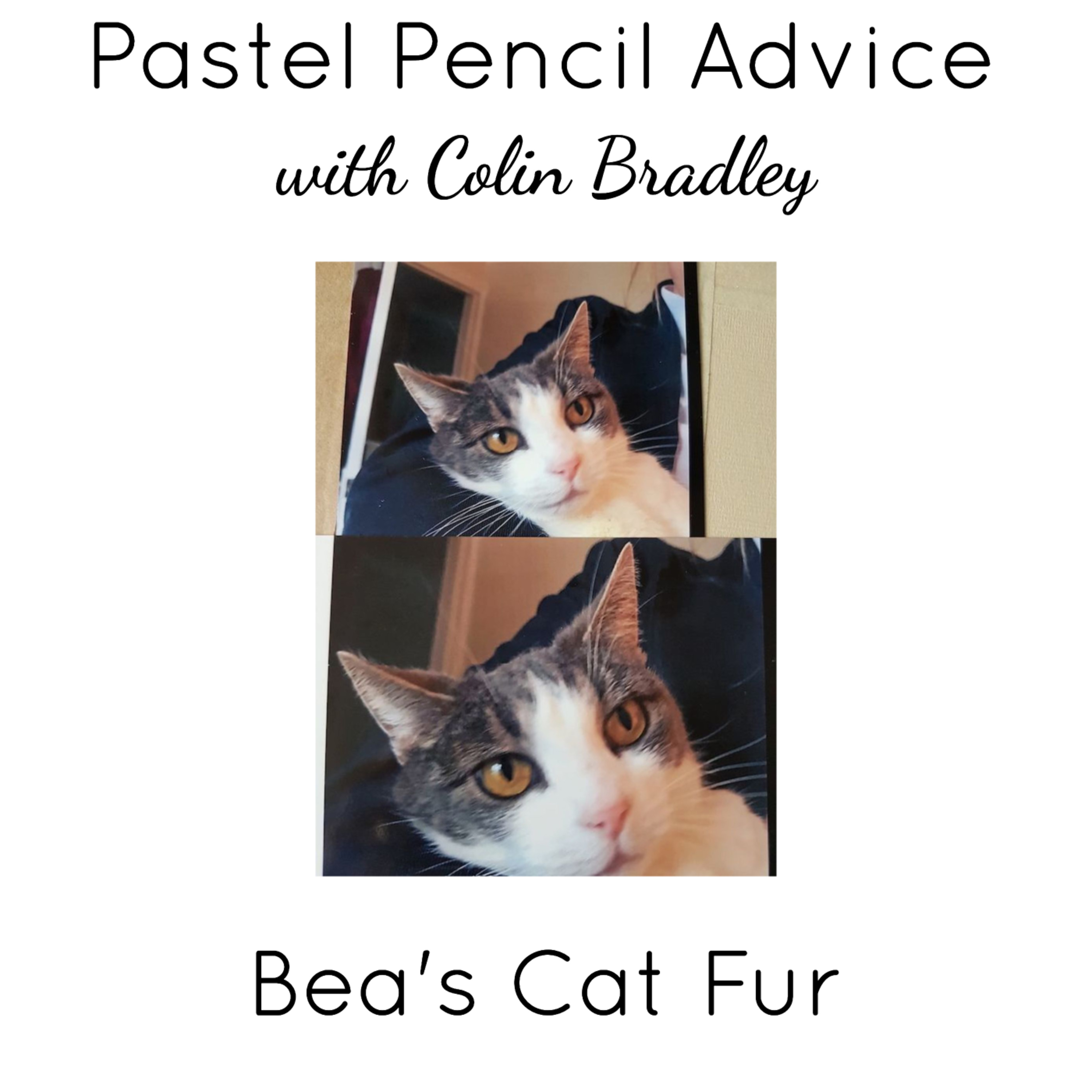 Advice for Drawing Cat Fur