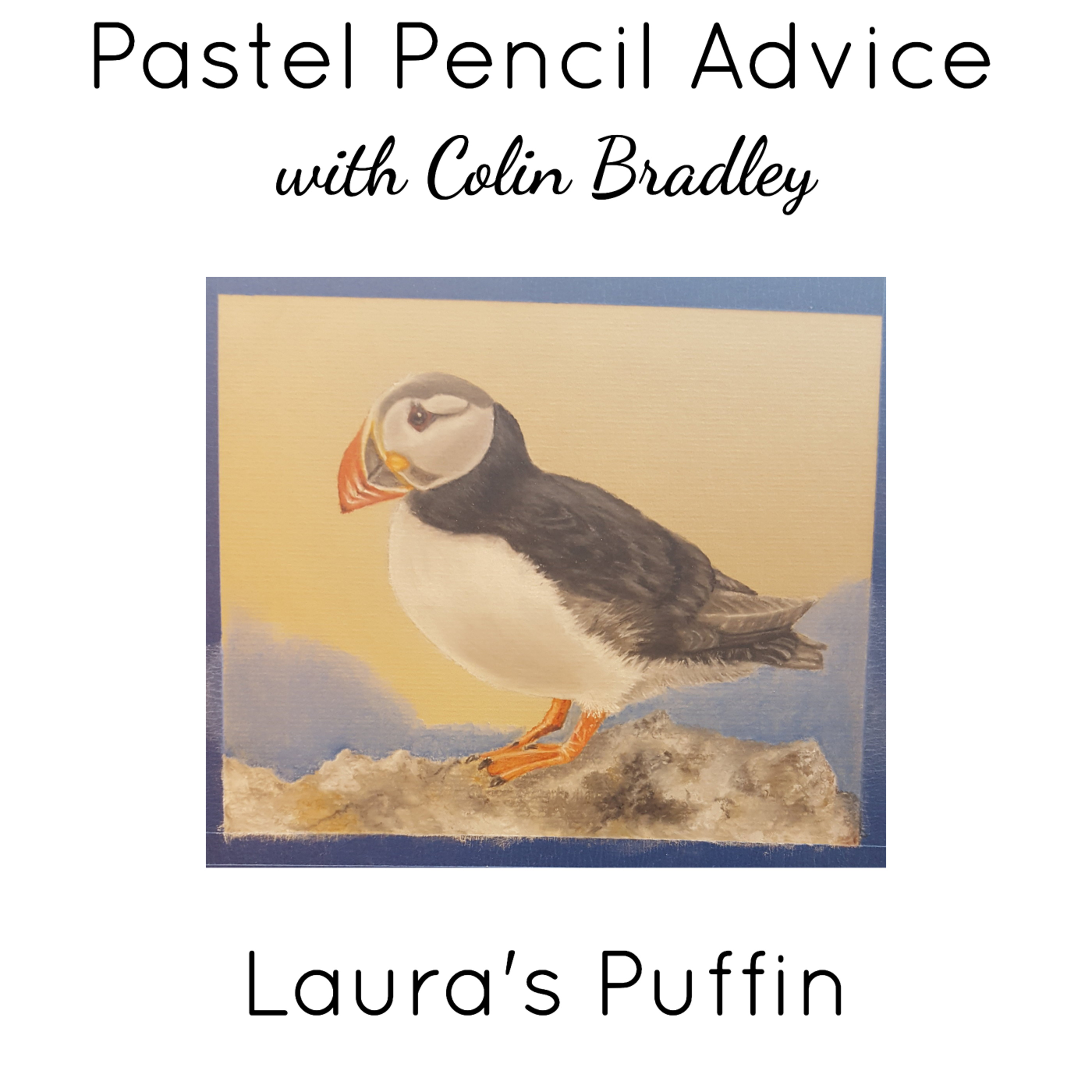 Advice for Laura's Puffin Background