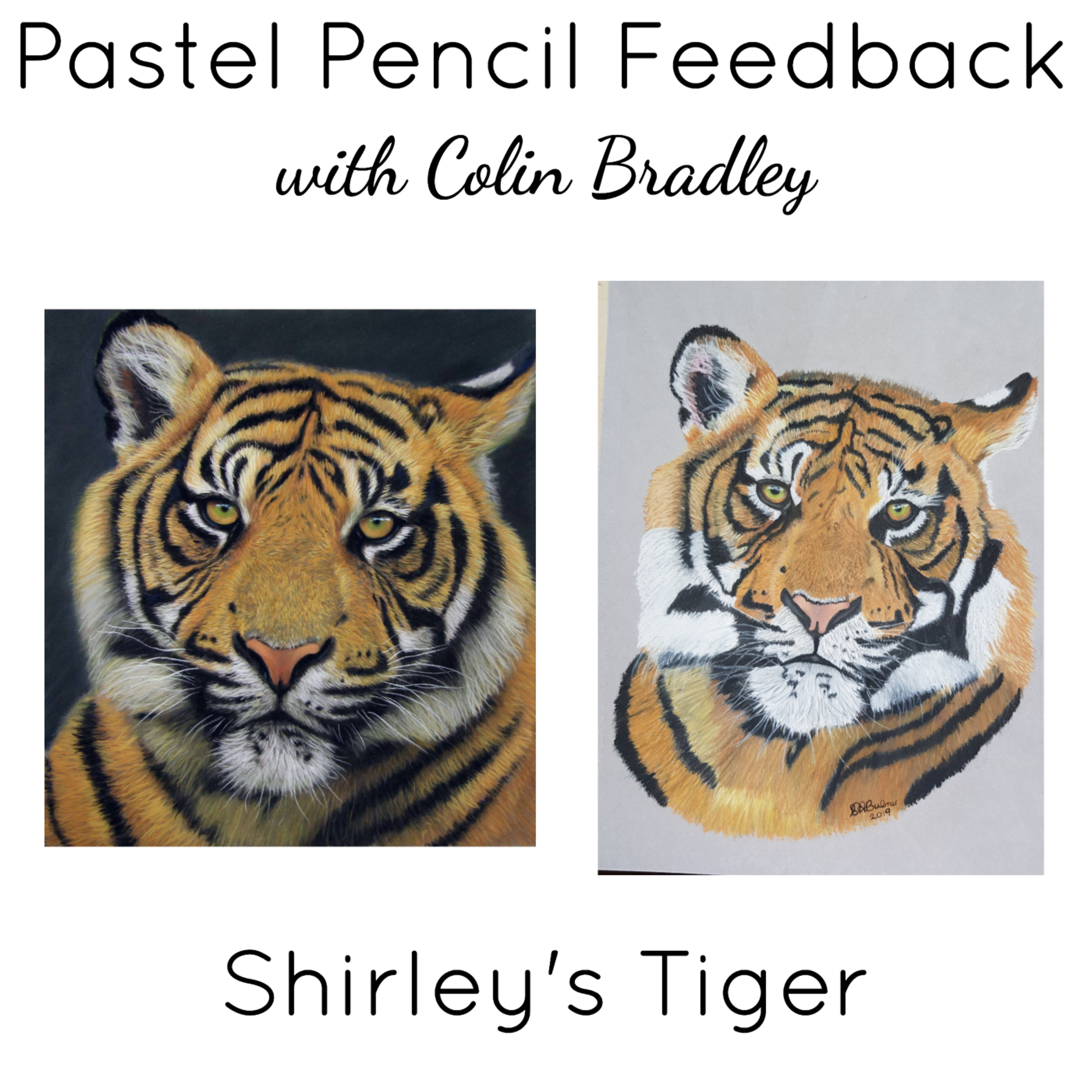 Tips and Advice for Shirley’s Tiger Painting