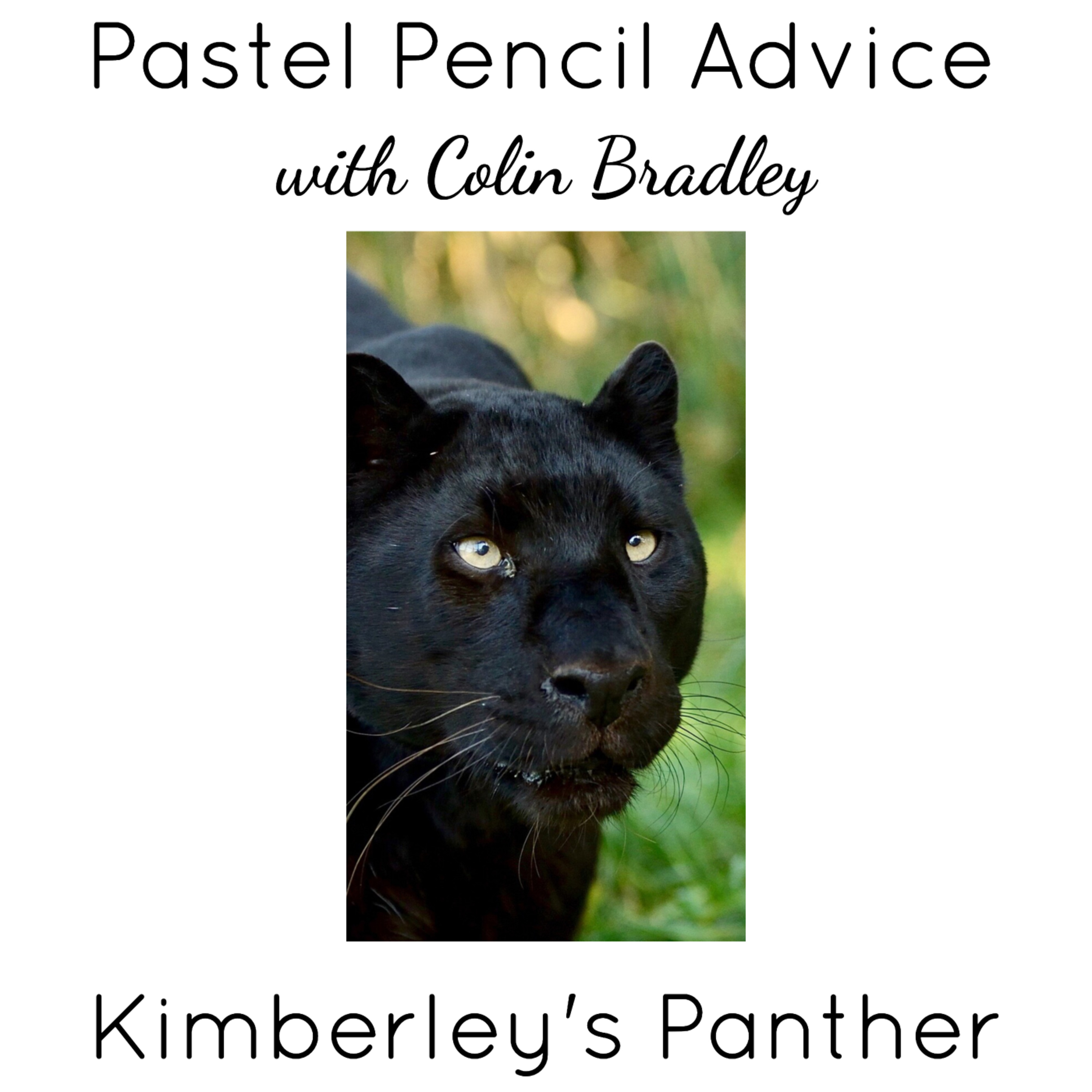 Colours for Drawing a Black Panther