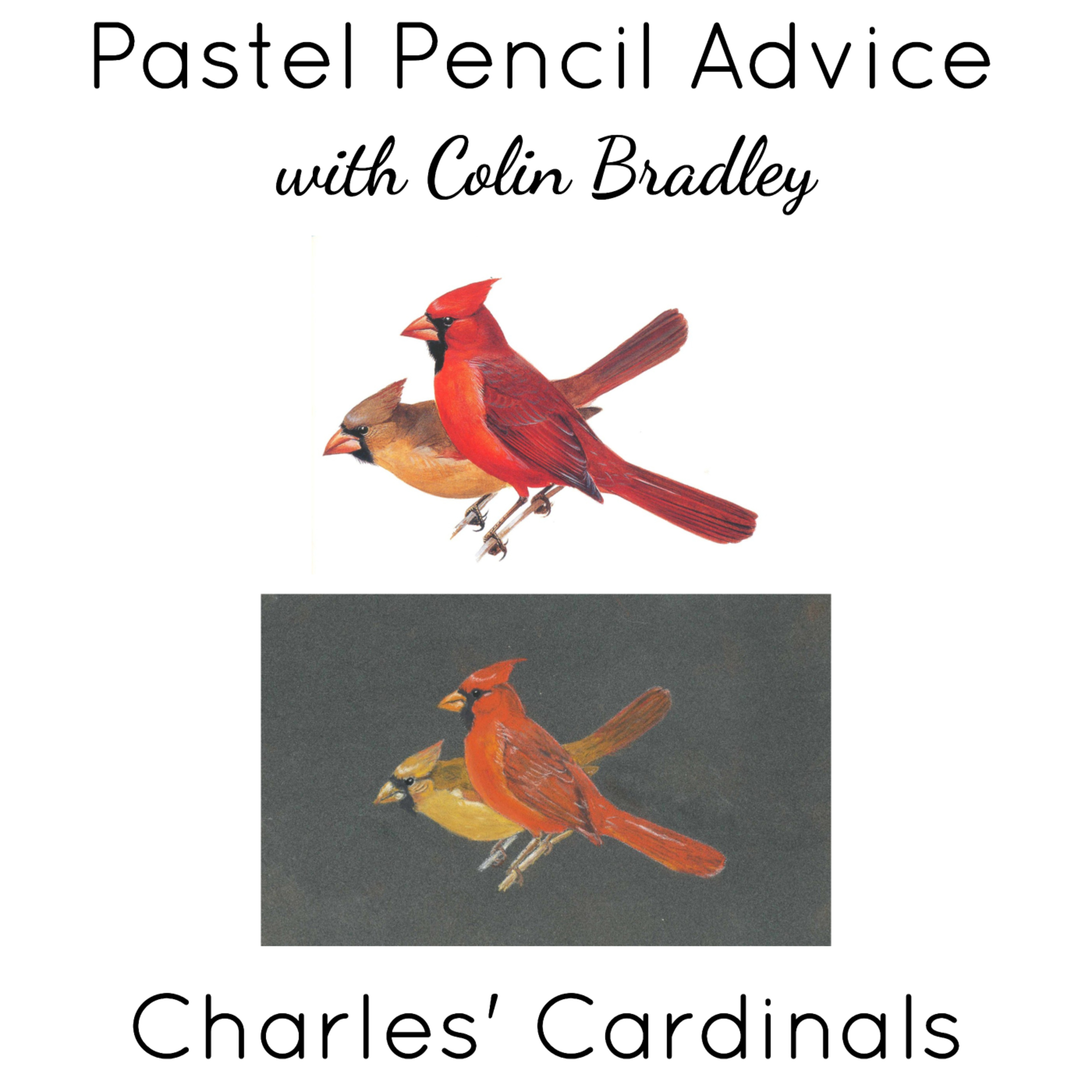 American Cardinals Background