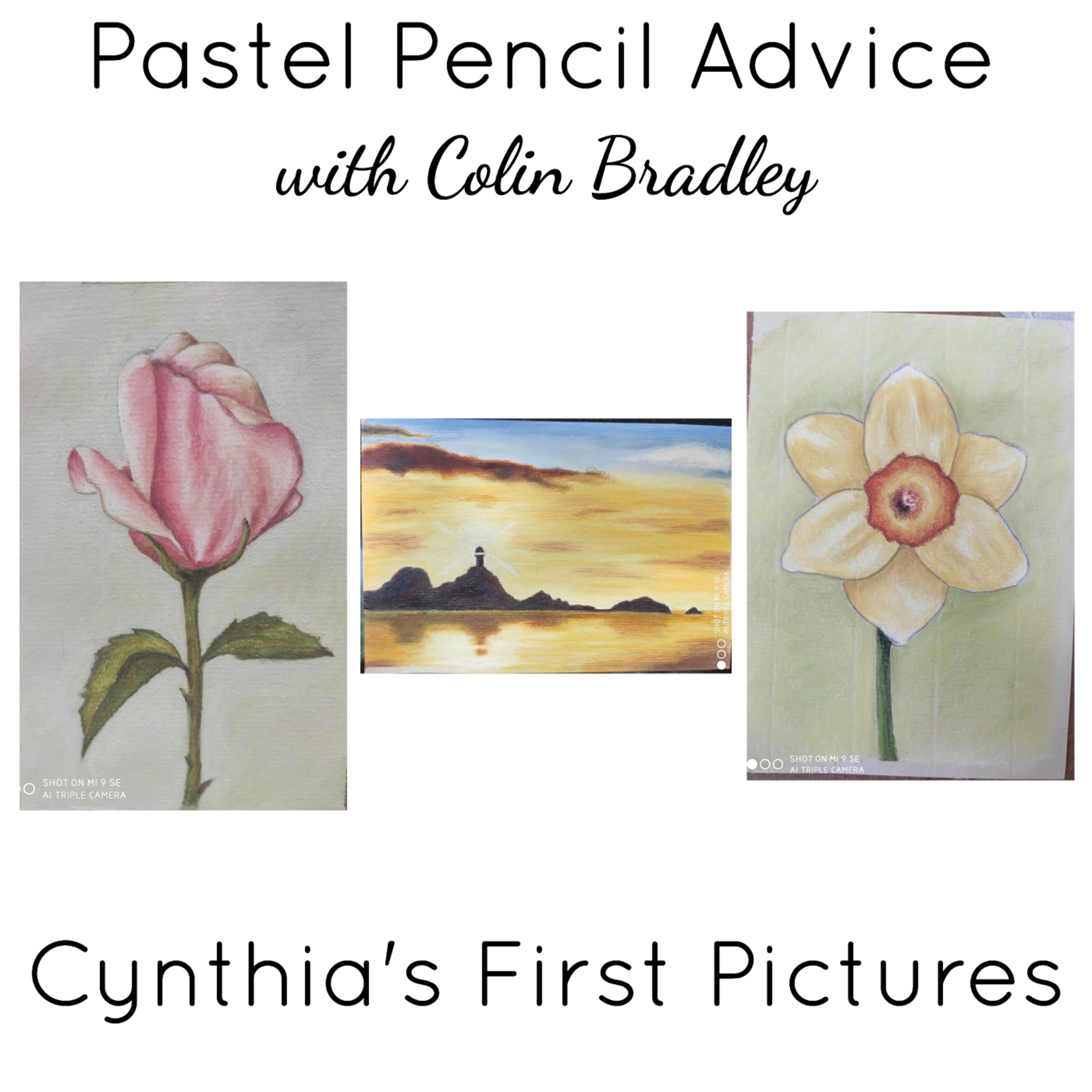 Pastel Pencil Feedback & Advice