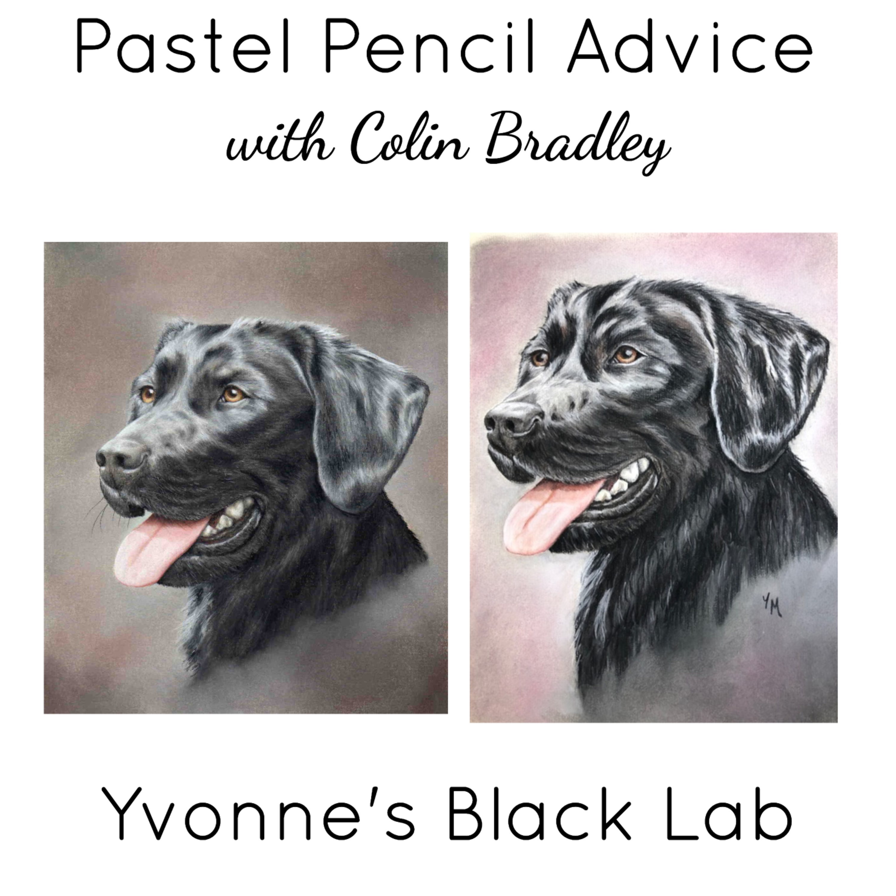 Pastel Pencil Feedback & Advice