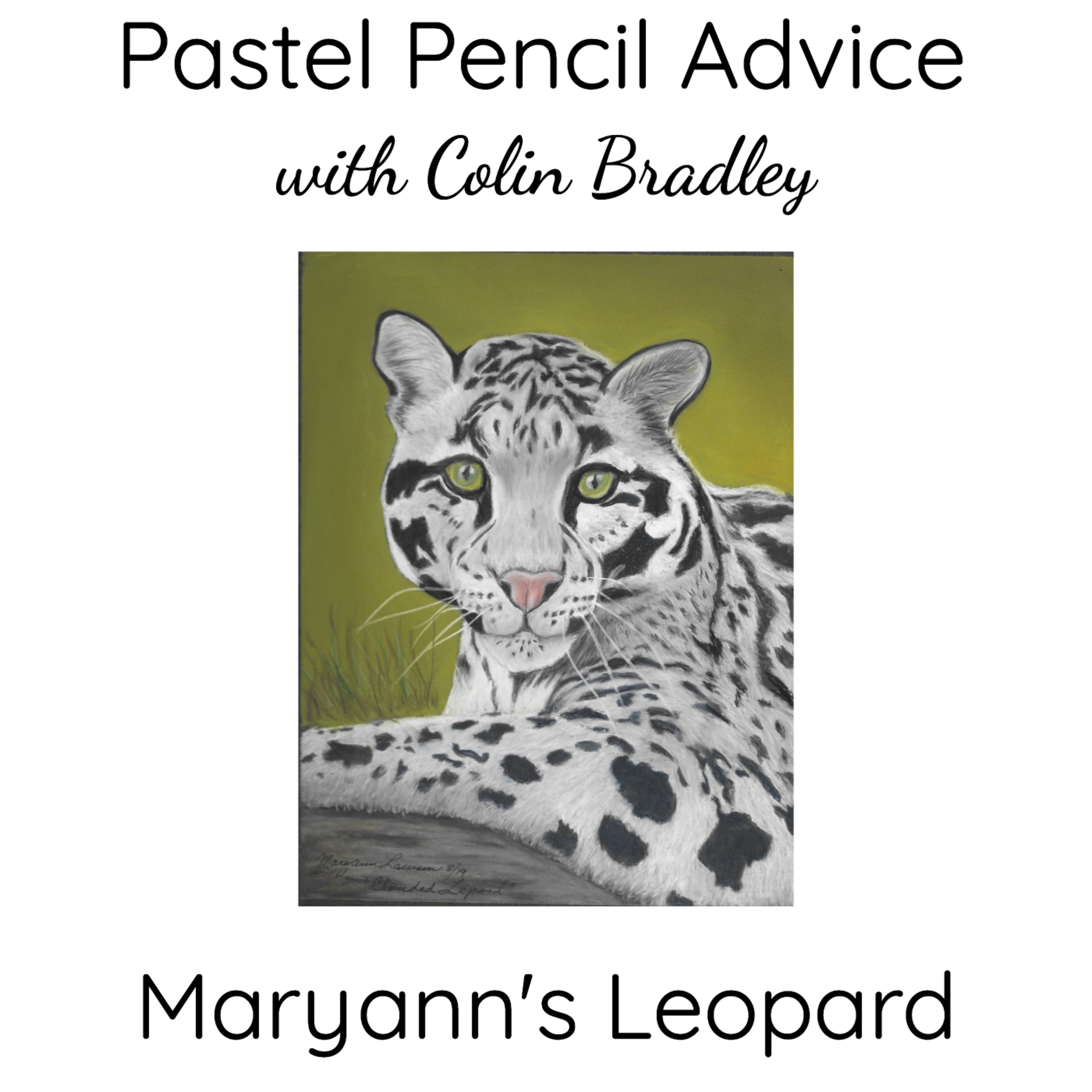 MaryAnn's Clouded Leopard