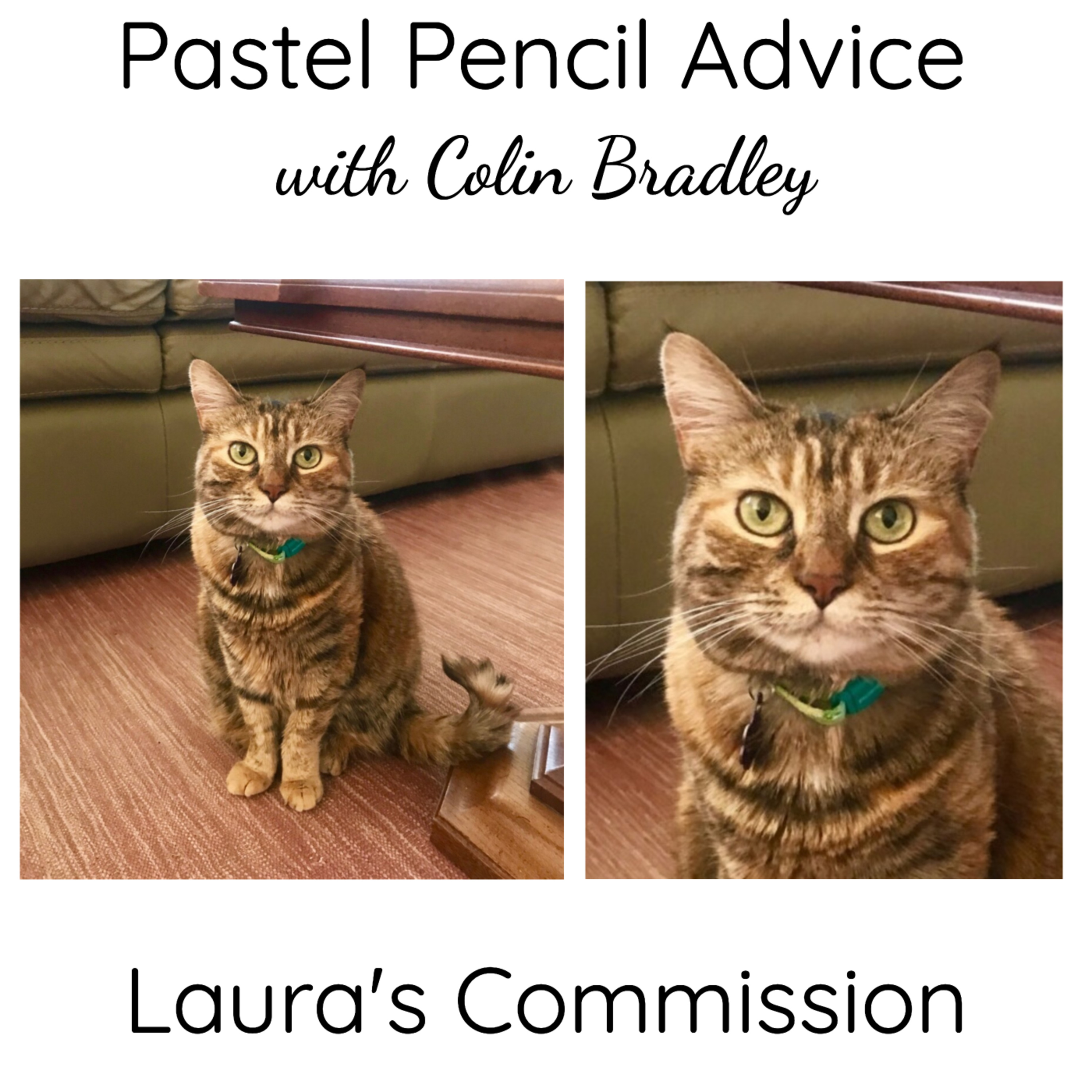 Pastel Pencil Feedback & Advice