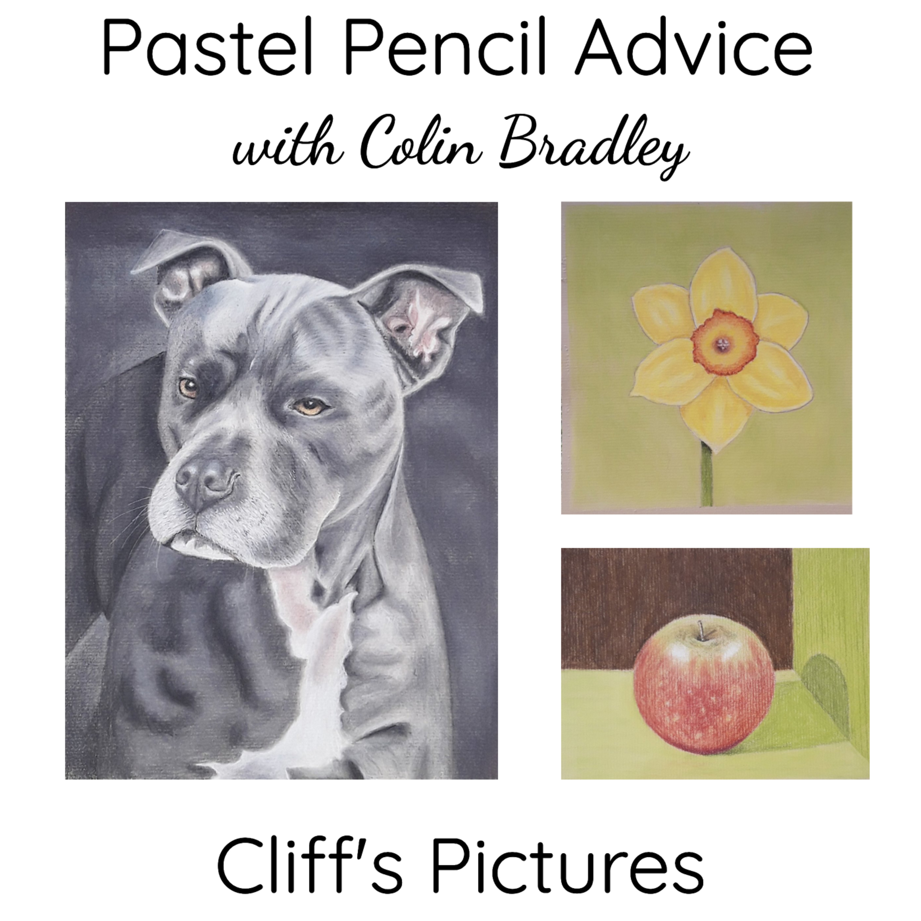 Cliff's Staffy, Apple and Daffodil