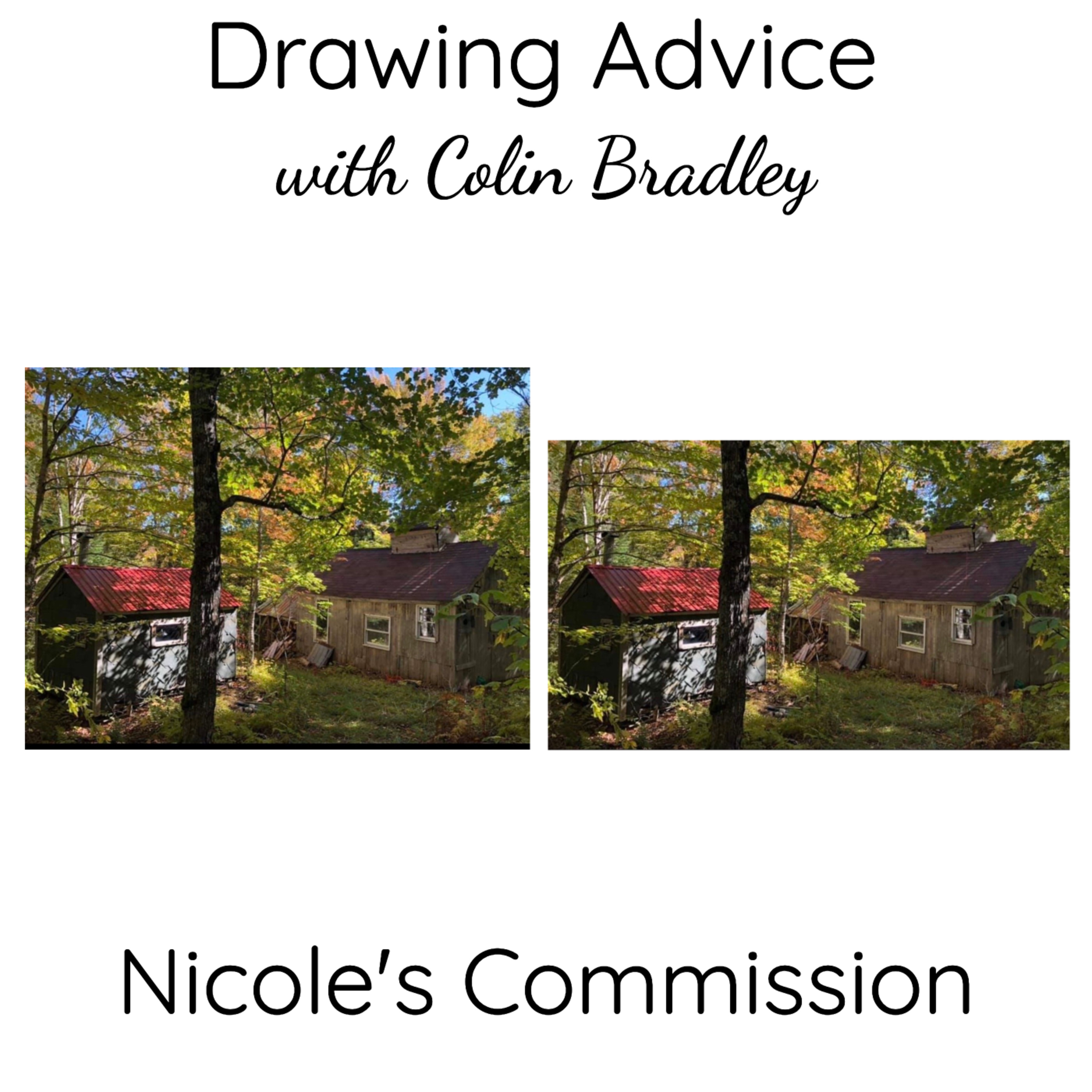 Help with Nicole's Commission