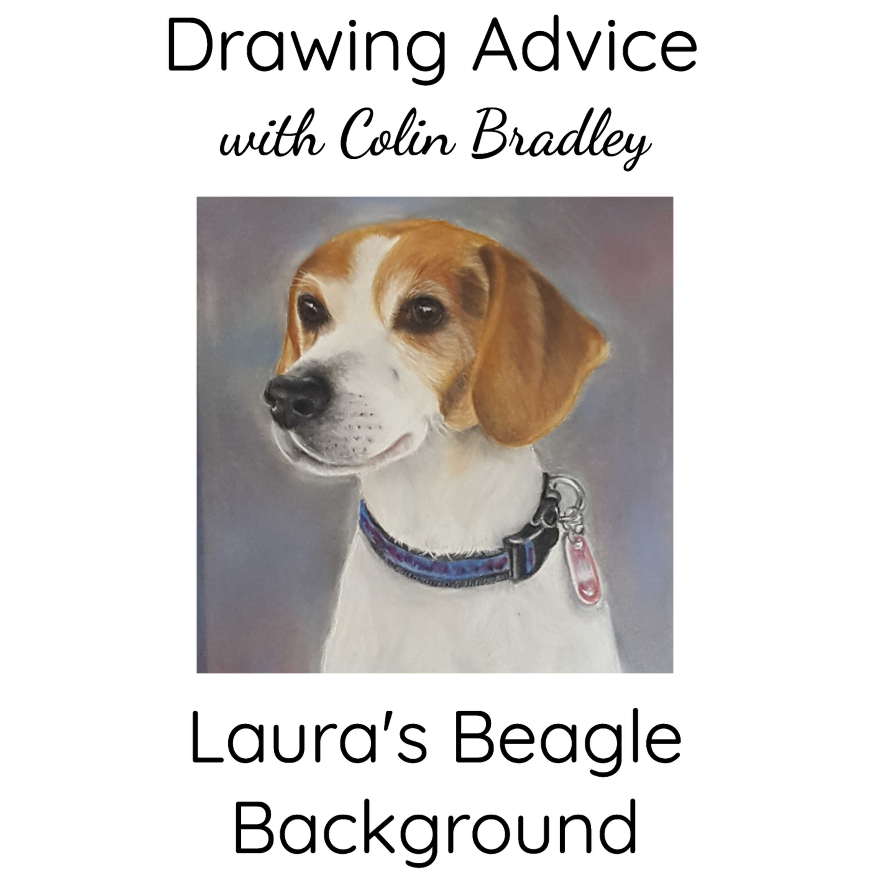 Laura's Beagle Background
