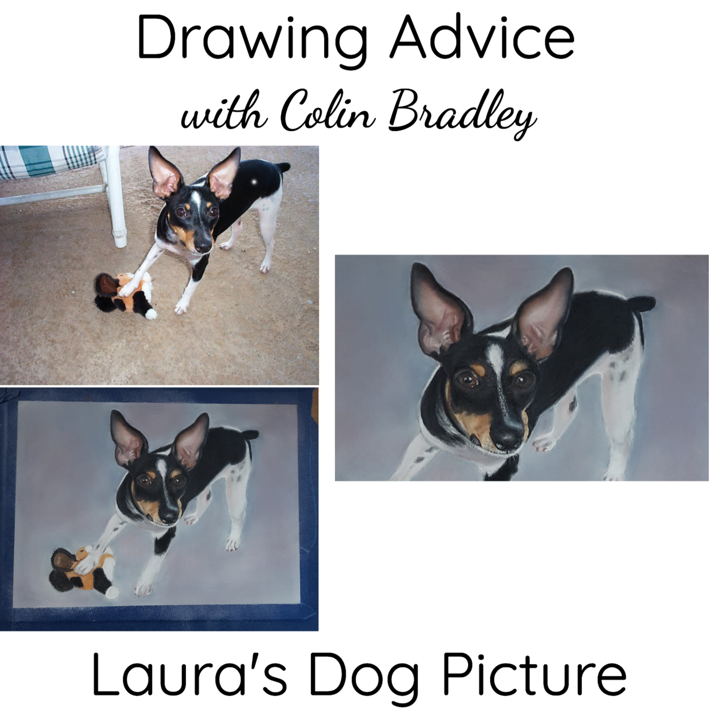 Laura's Dog Picture