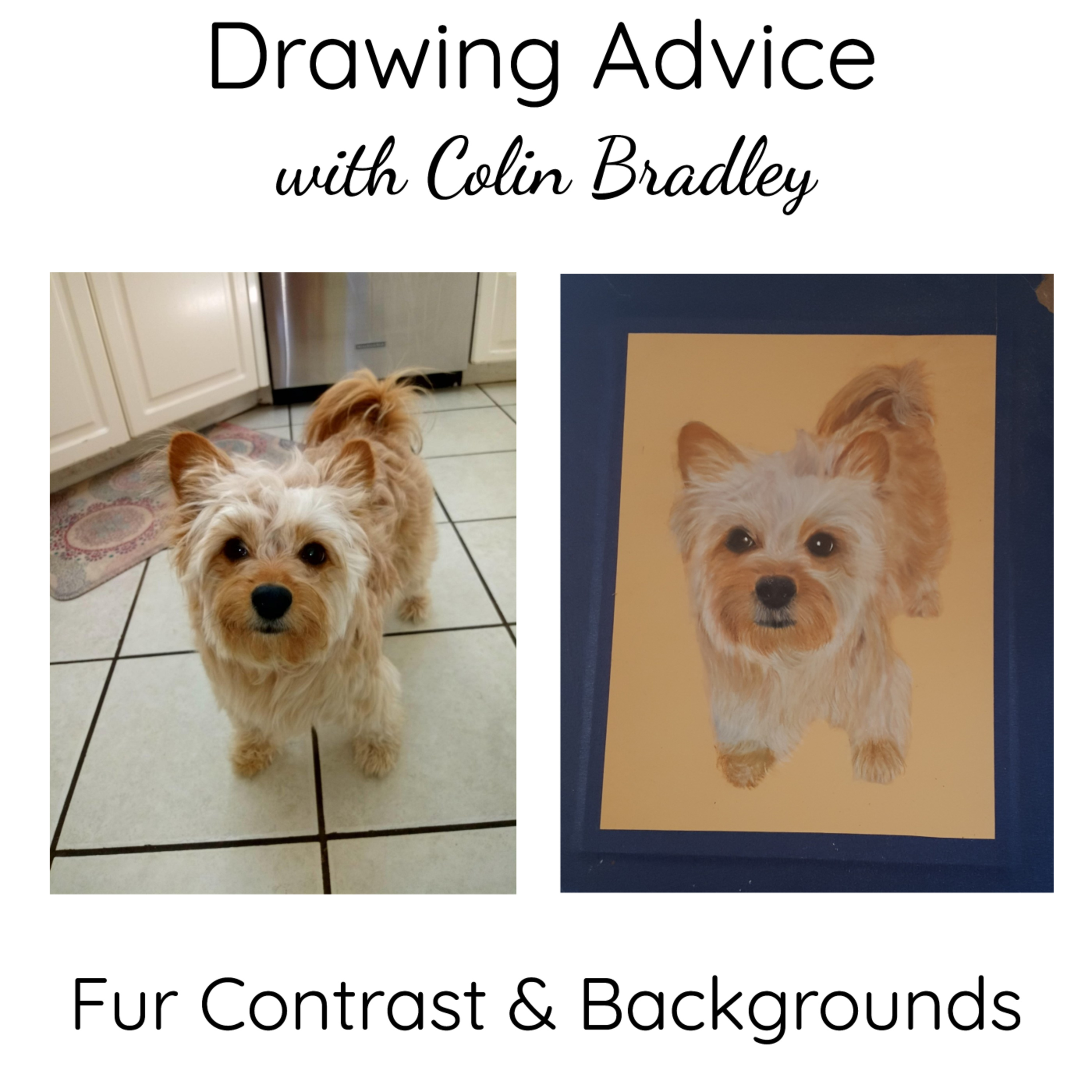 Adding Fur Contrast and Choosing Backgrounds