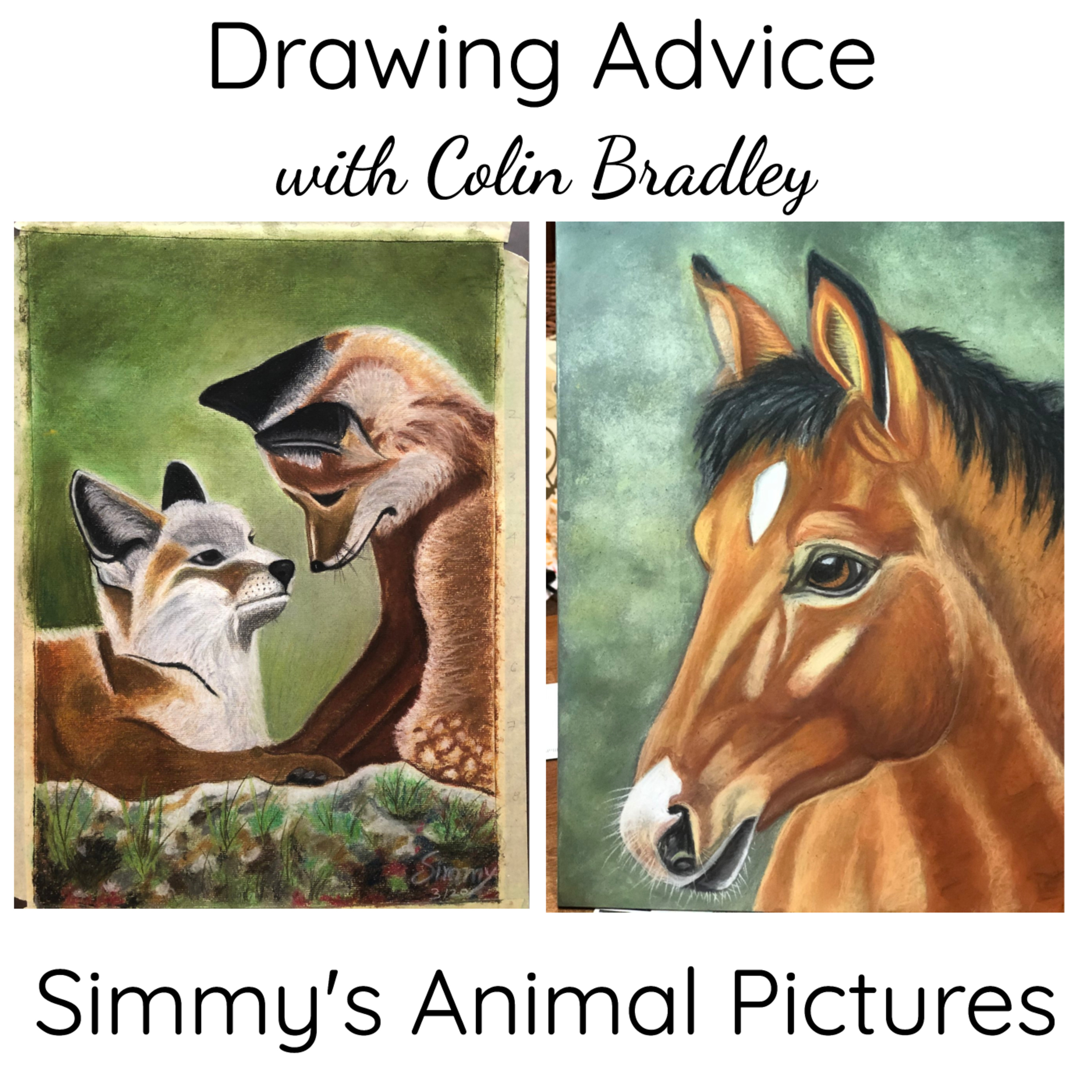 Pastel Pencil Feedback & Advice