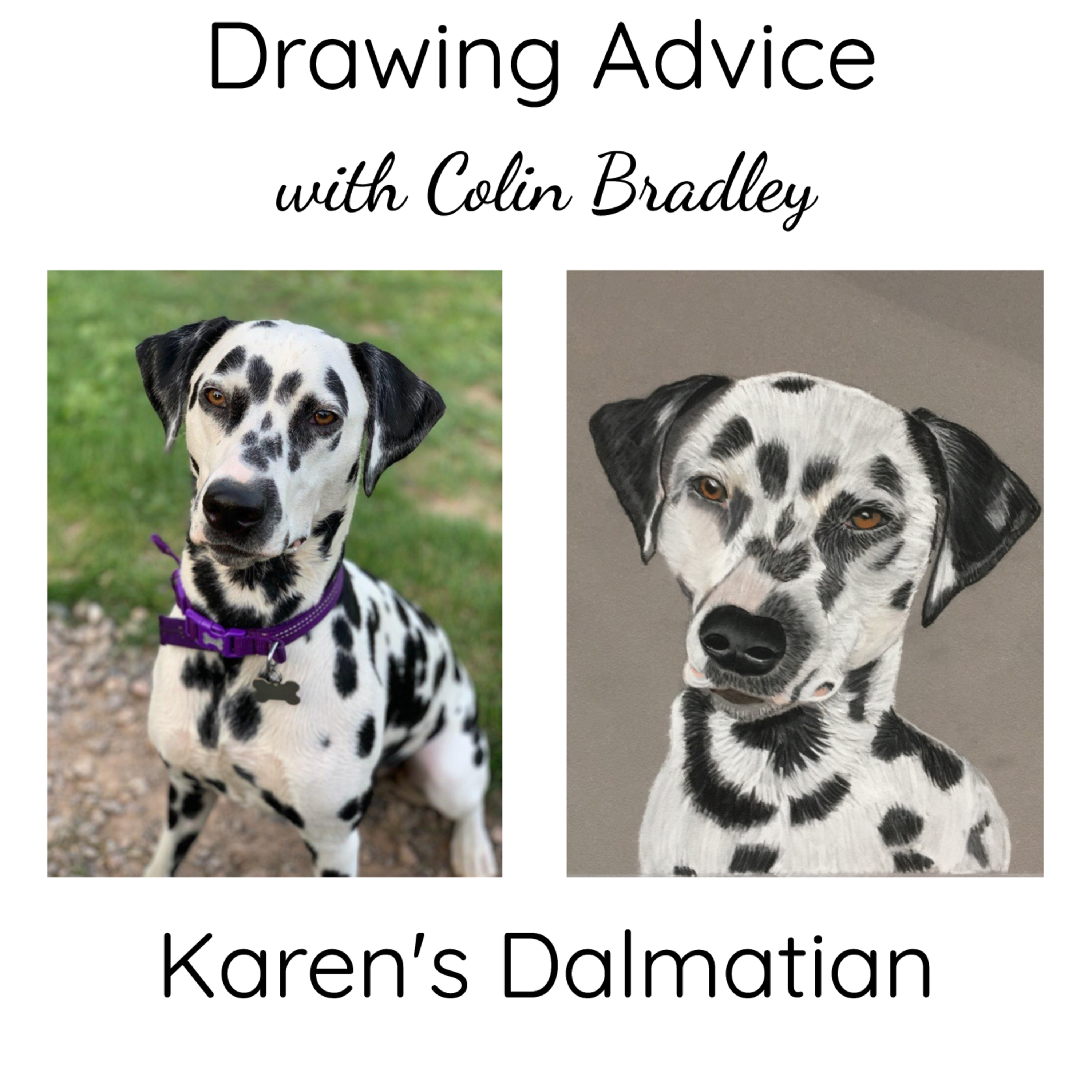 Karen's Dalmatian