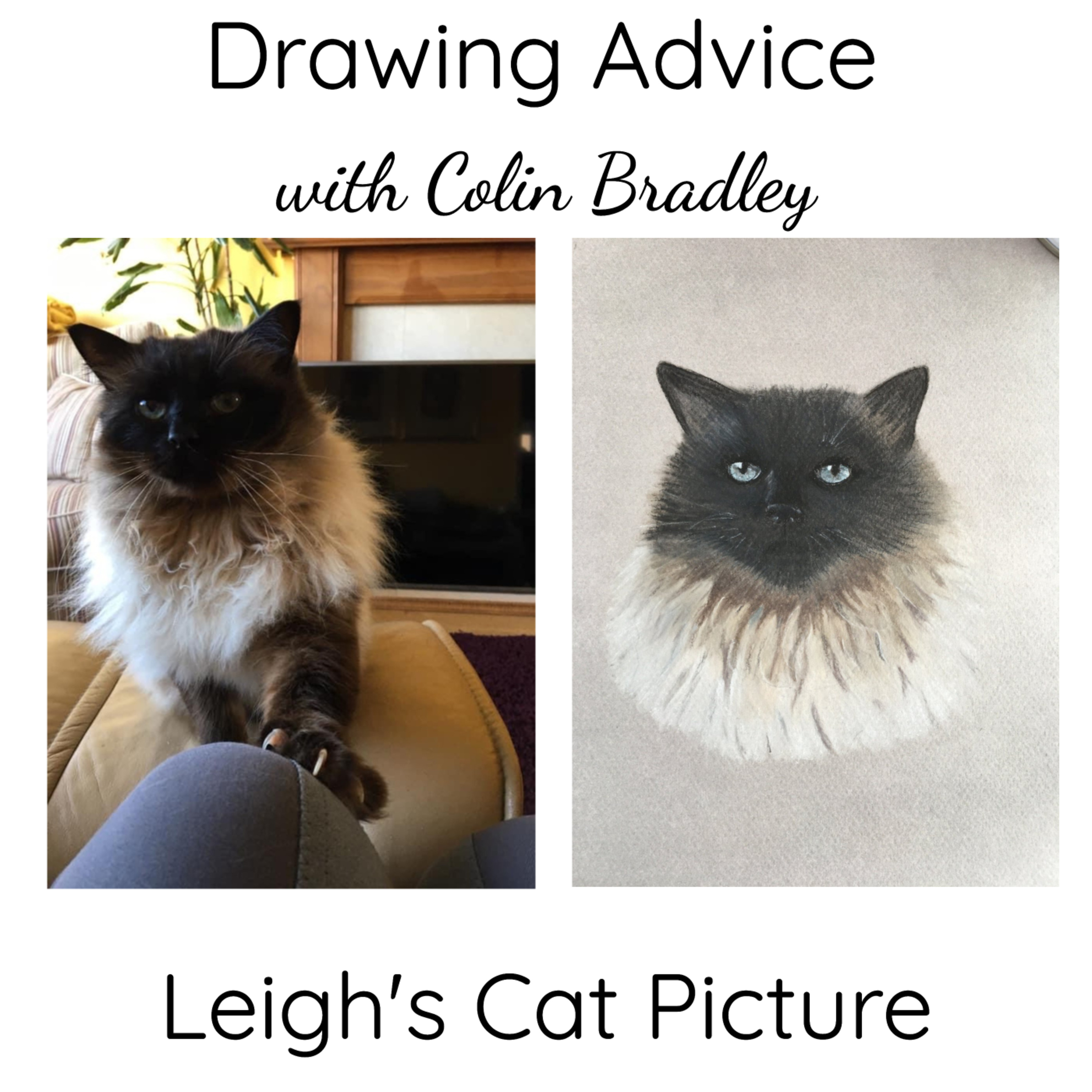 Leigh's Cat Picture