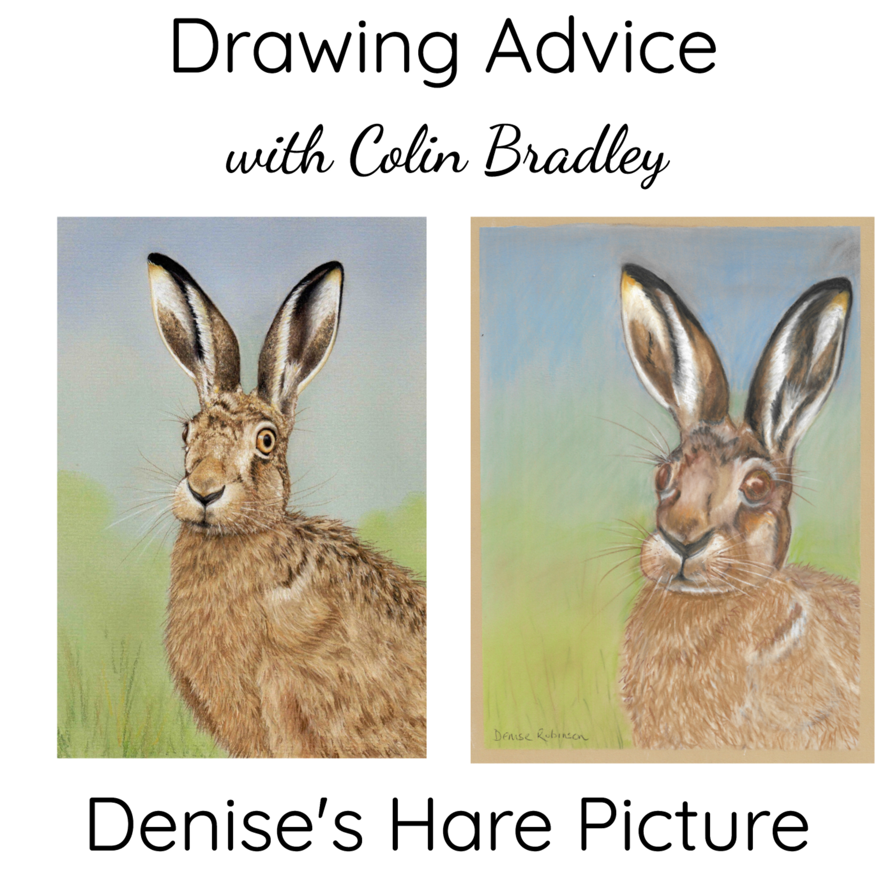 Denise's Hare Picture