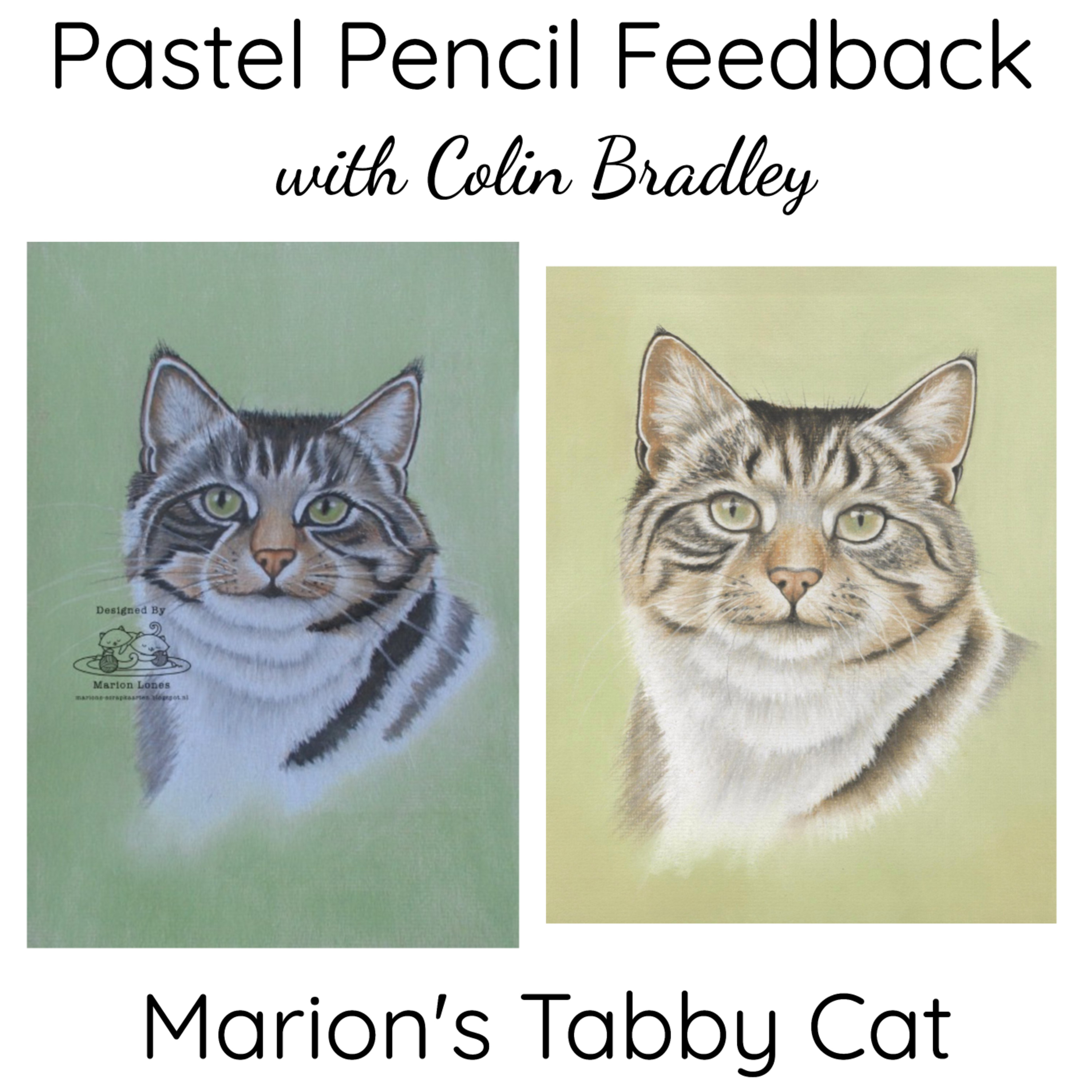 Marion's Tabby Cat