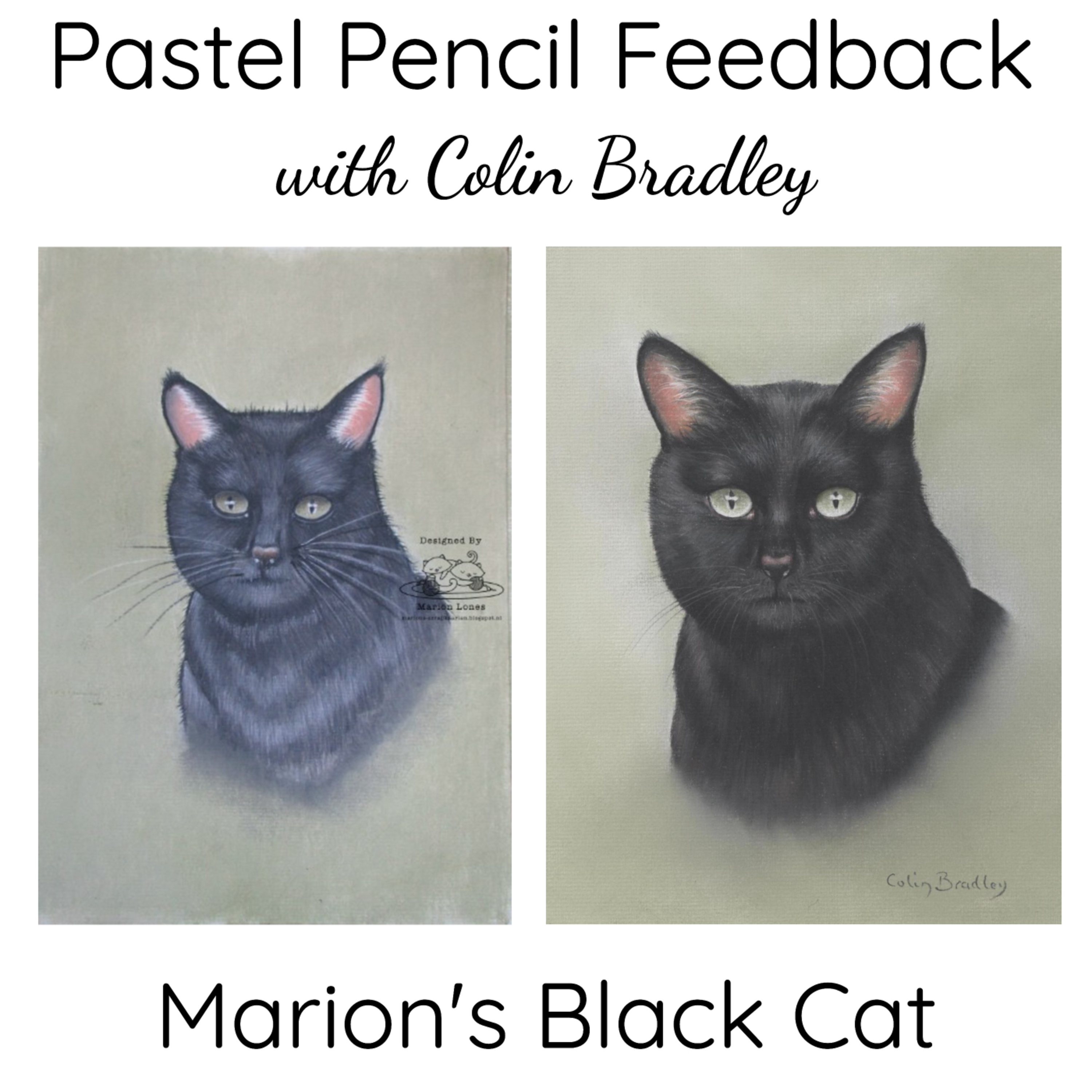 Marion's Black Cat