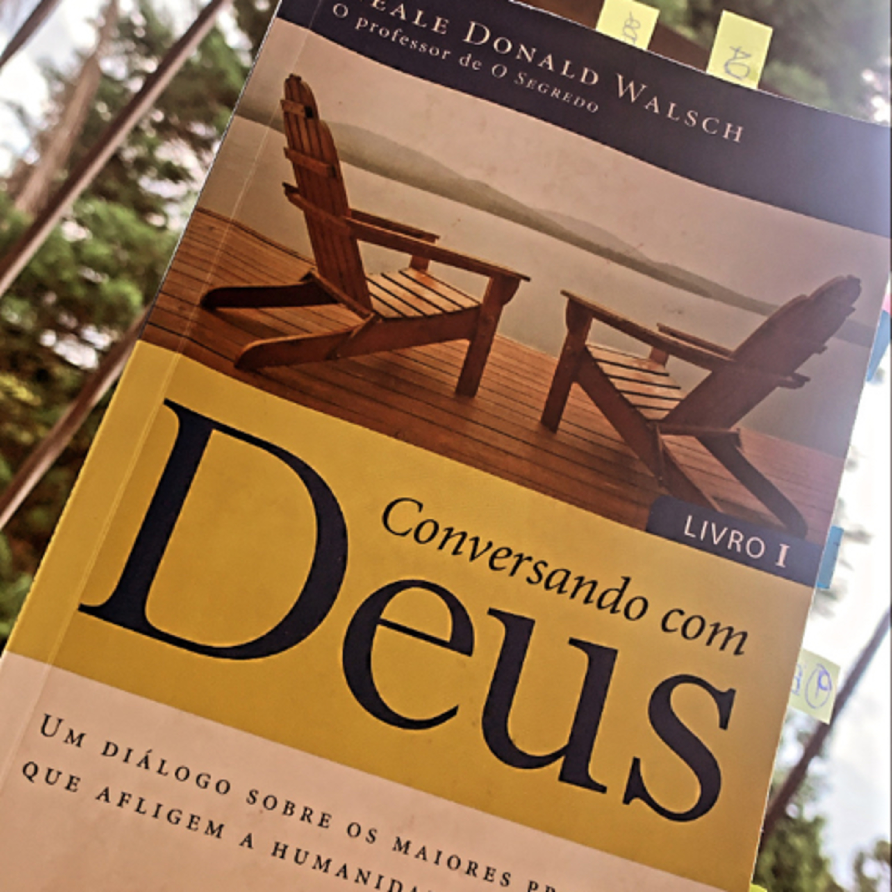 Perla Descomplica