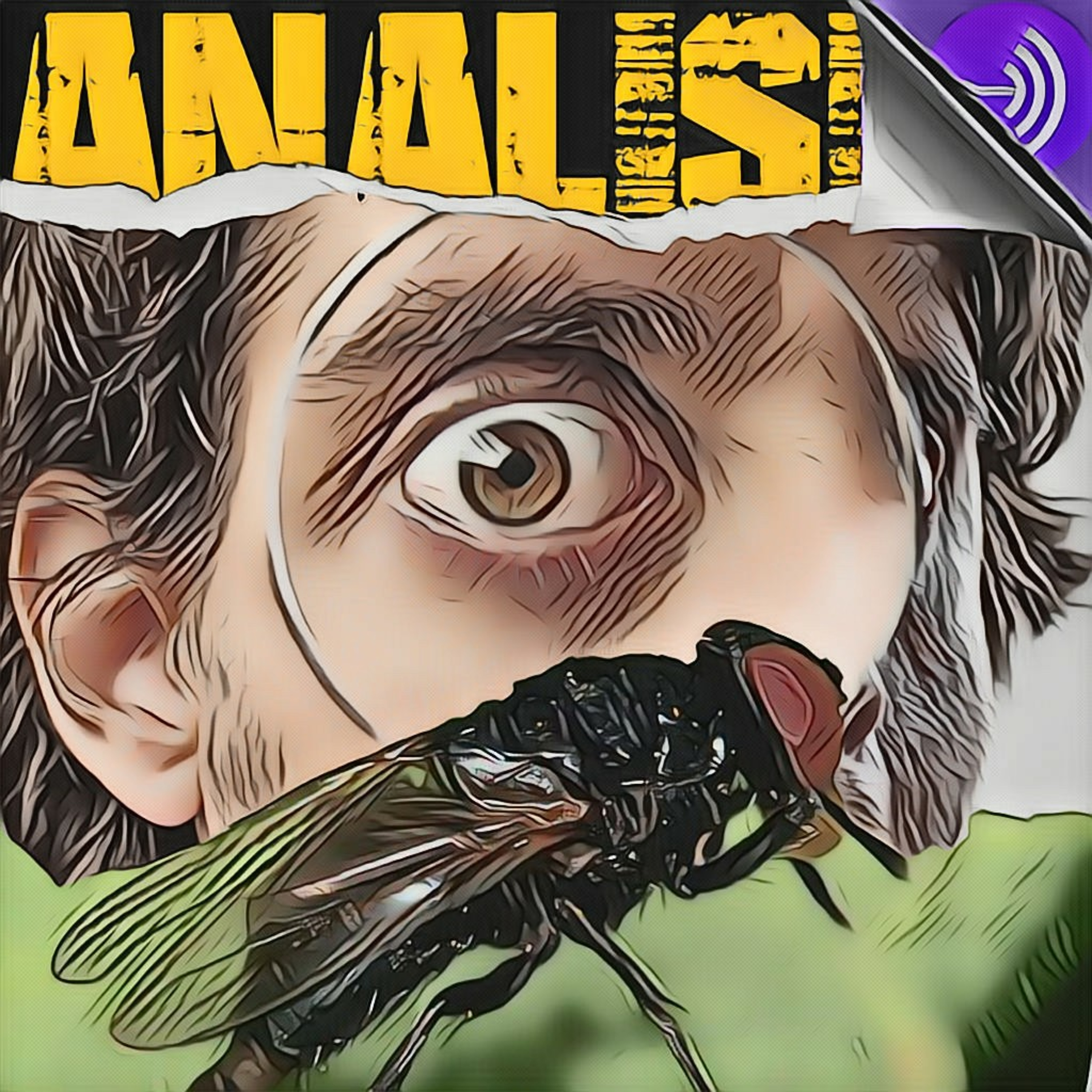 ANALISIS PELLEJUDOS (Not a daily)