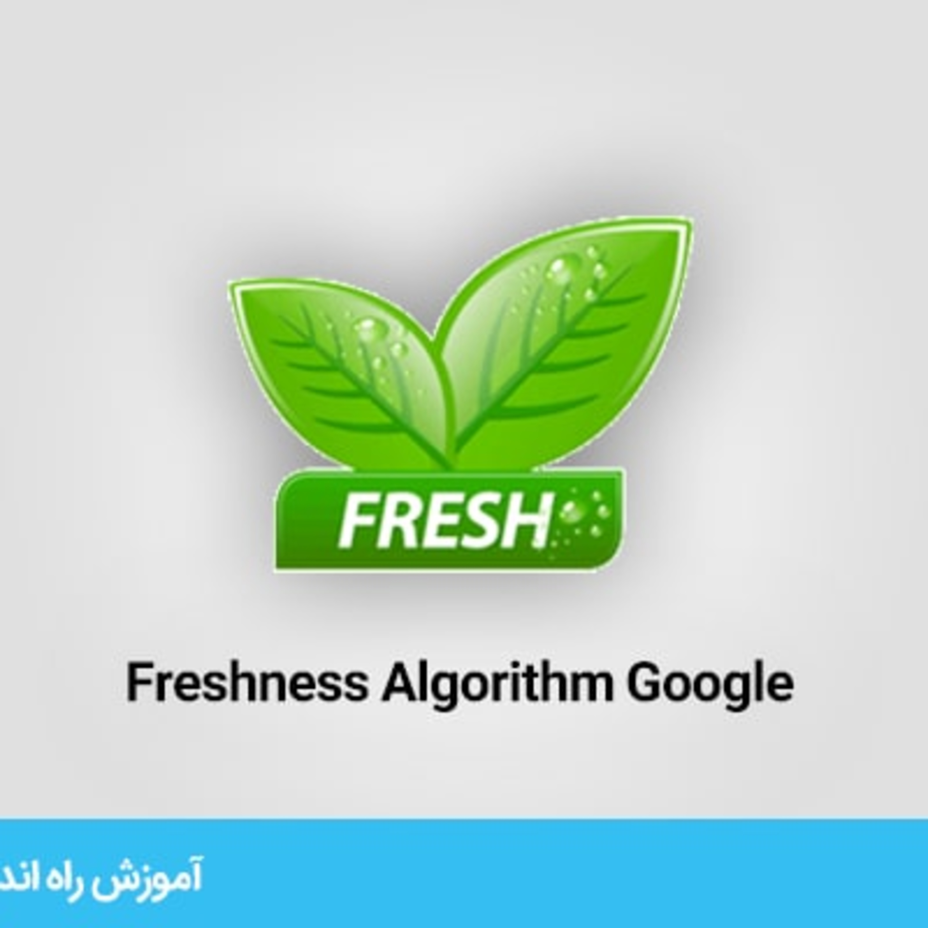 الگوریتم Freshness گوگل را بشناسید
