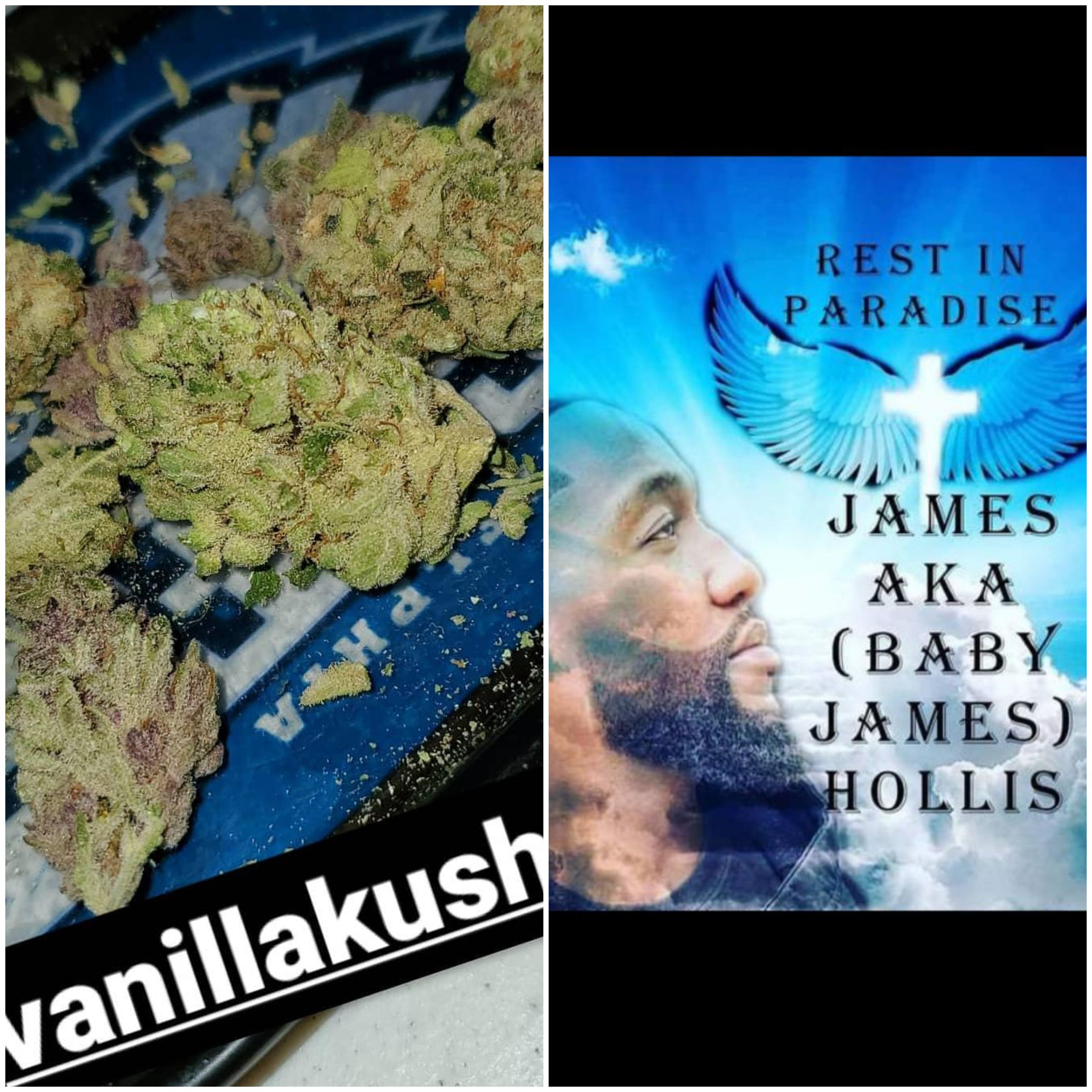 EP # 14 Vanilla kush 🍦 K.U.S.H ( keeps us so high )
