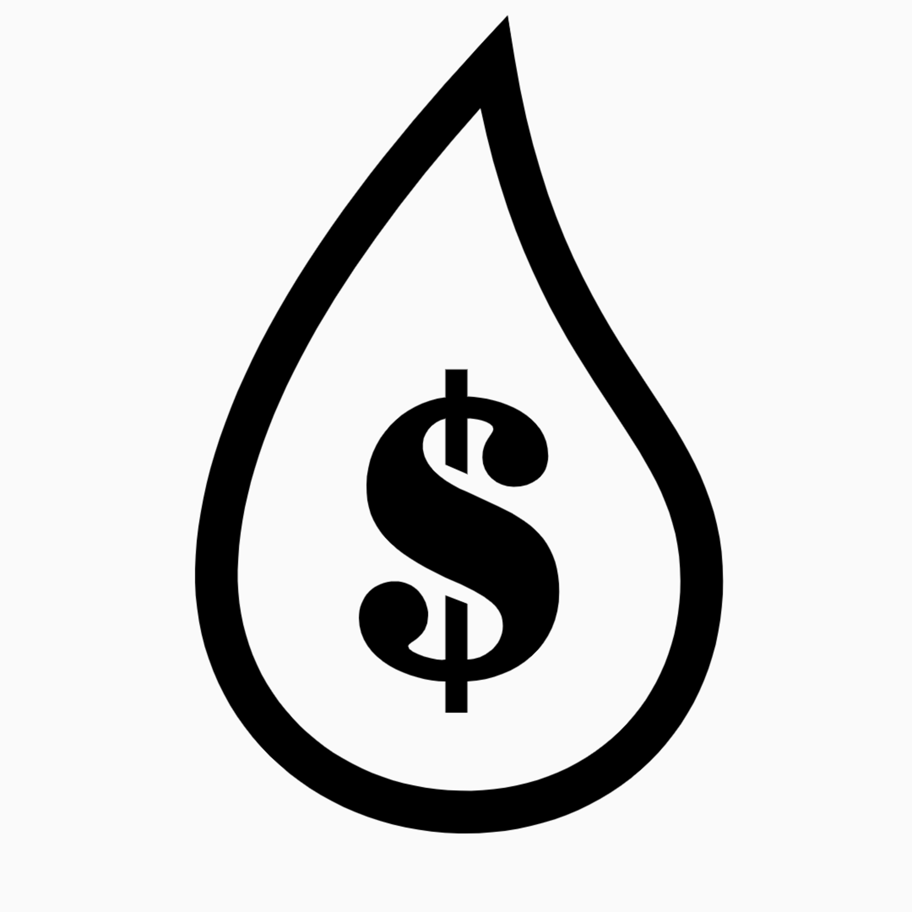 Boston Basic Income