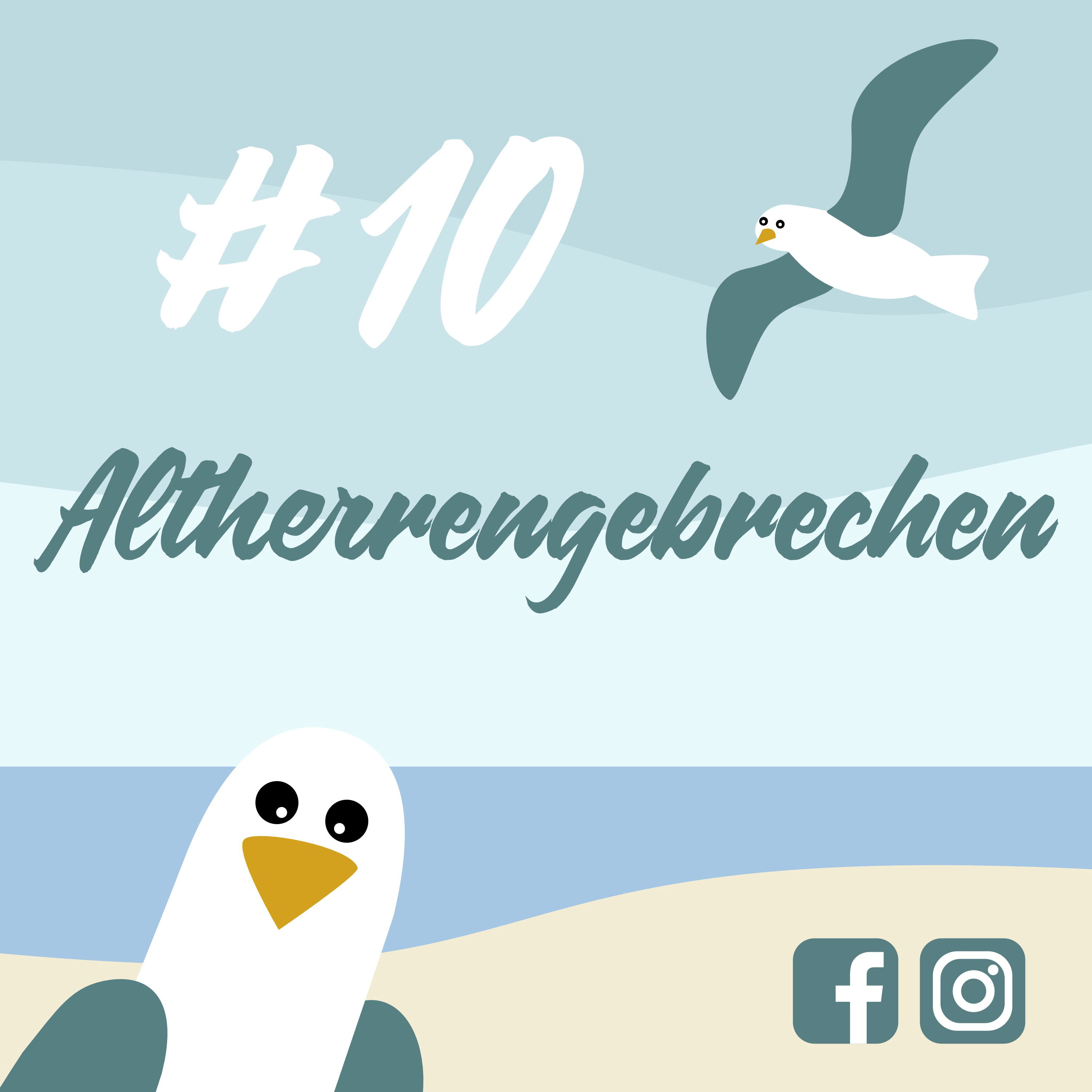 Möwenschiet