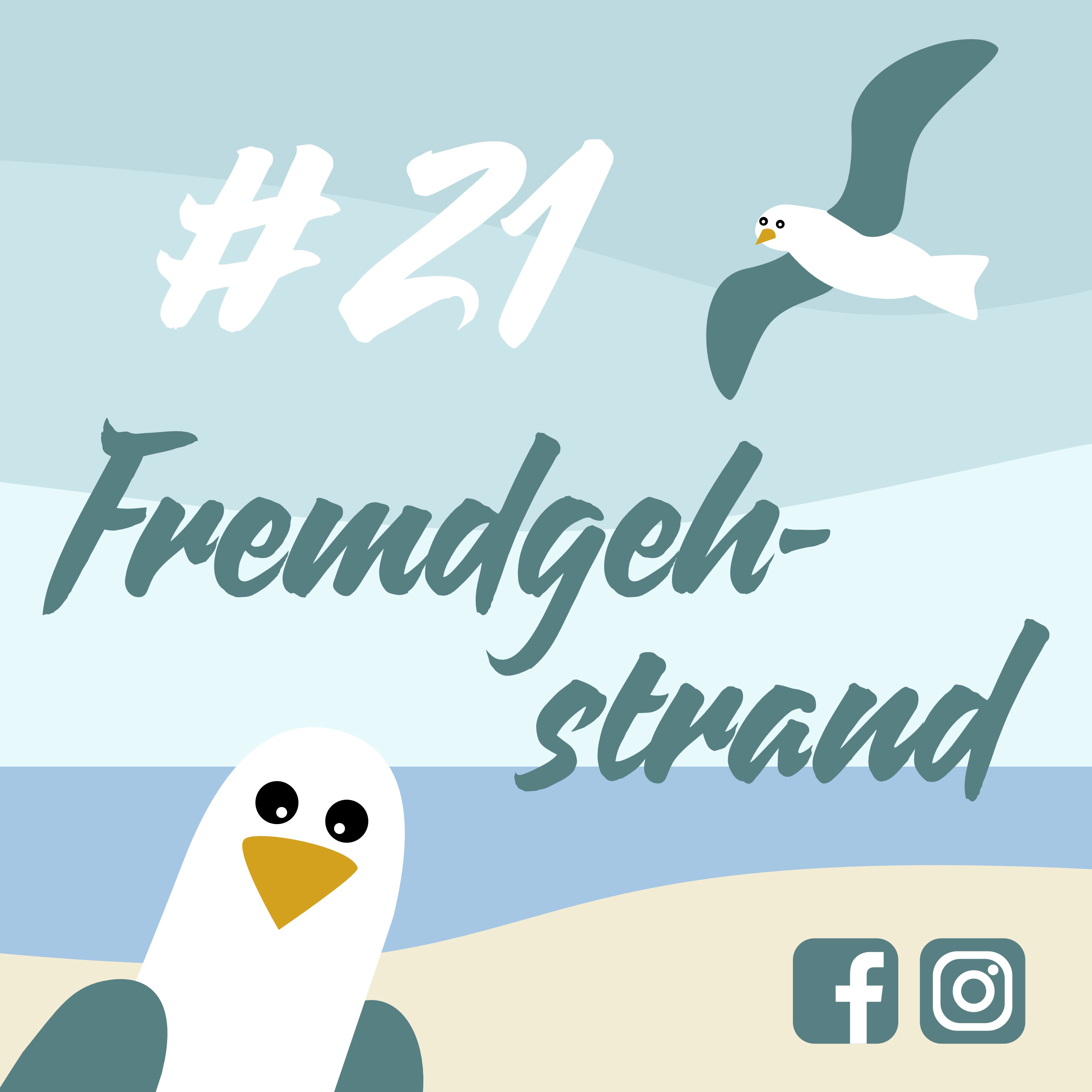 Möwenschiet