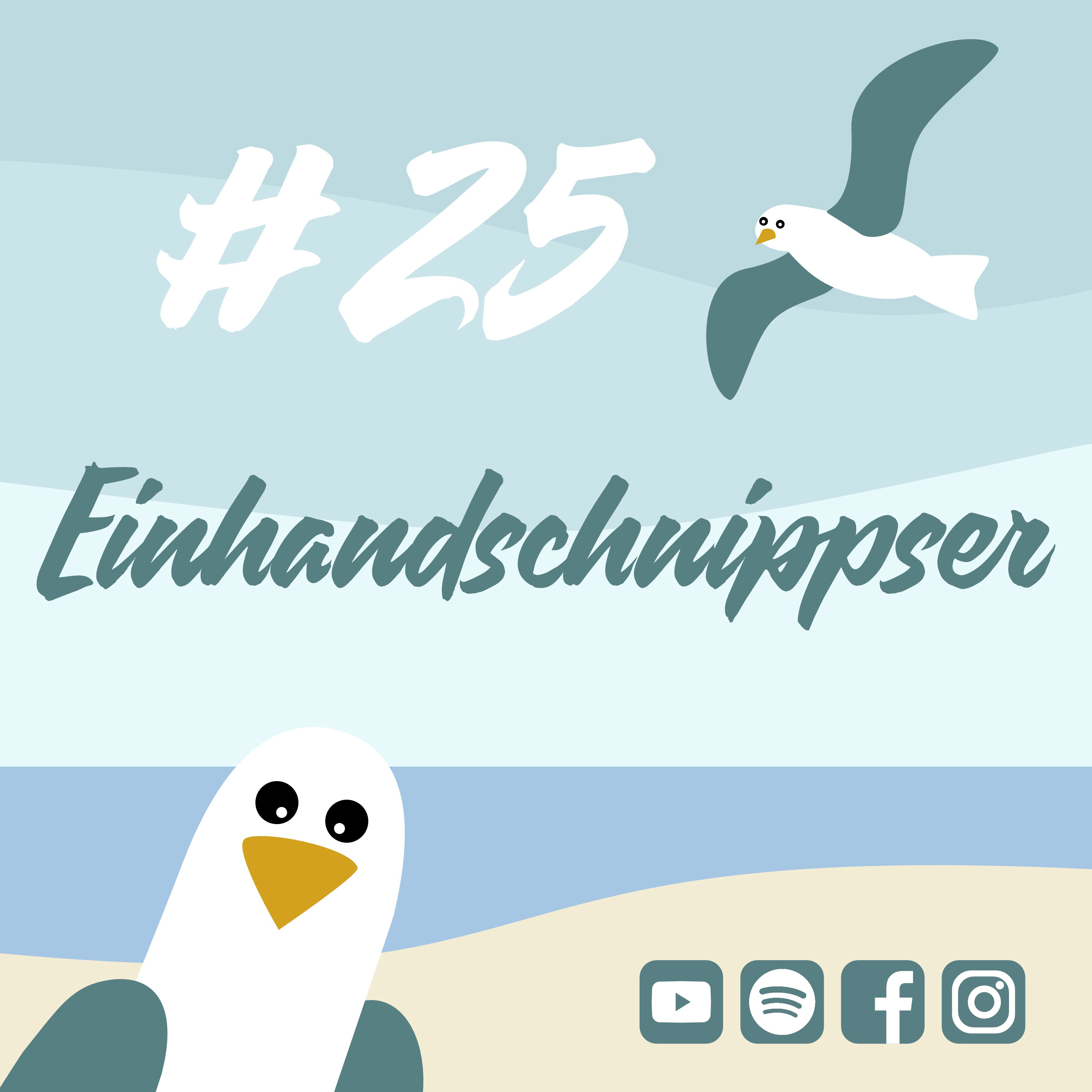 Möwenschiet