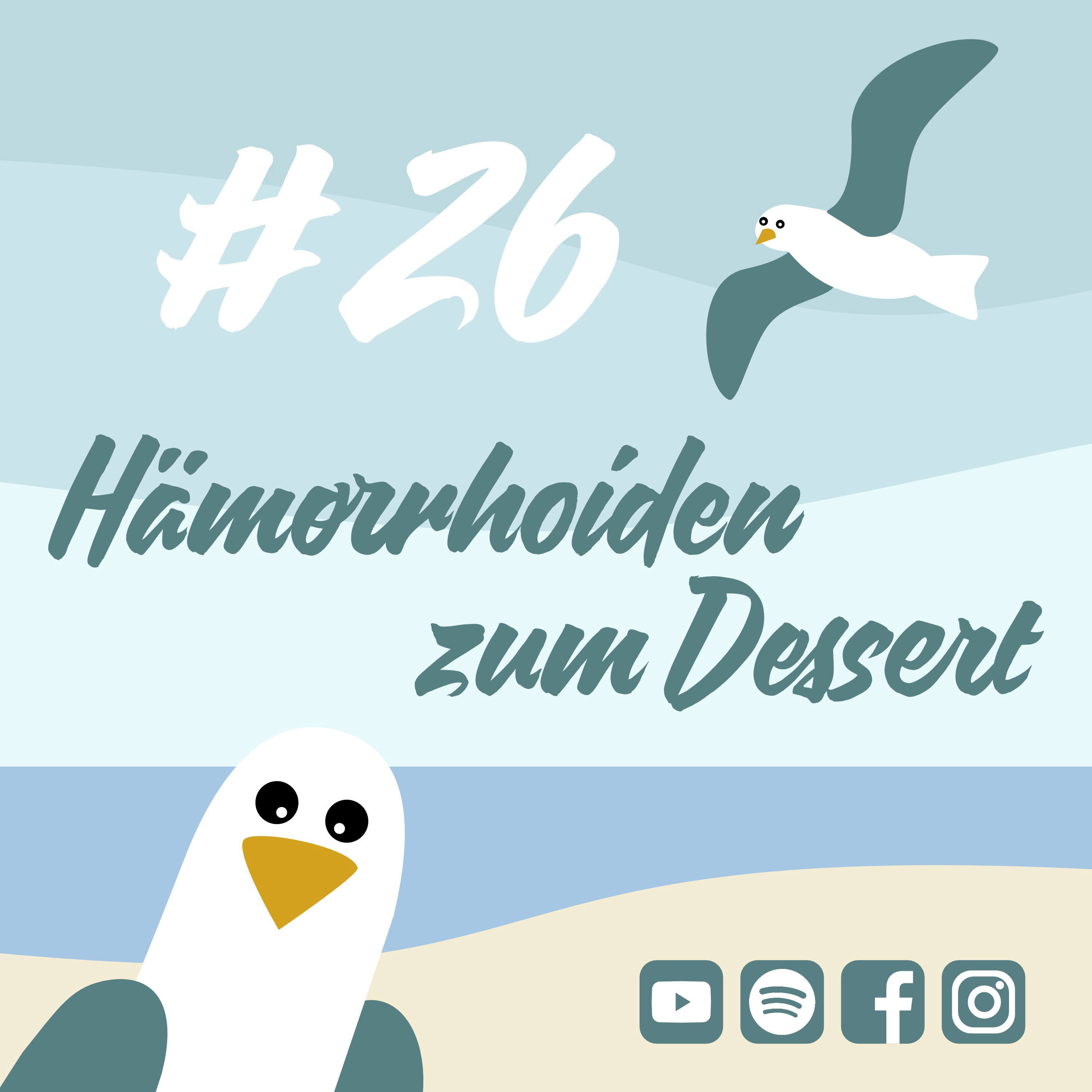 Möwenschiet