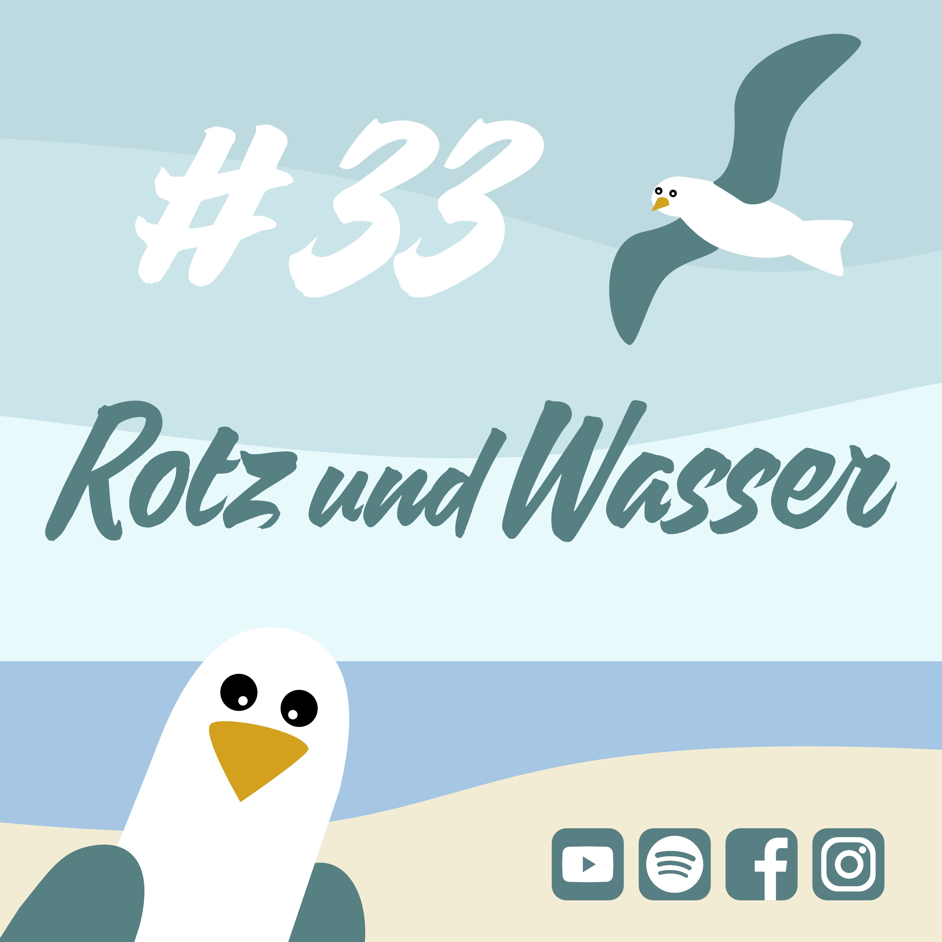 Möwenschiet