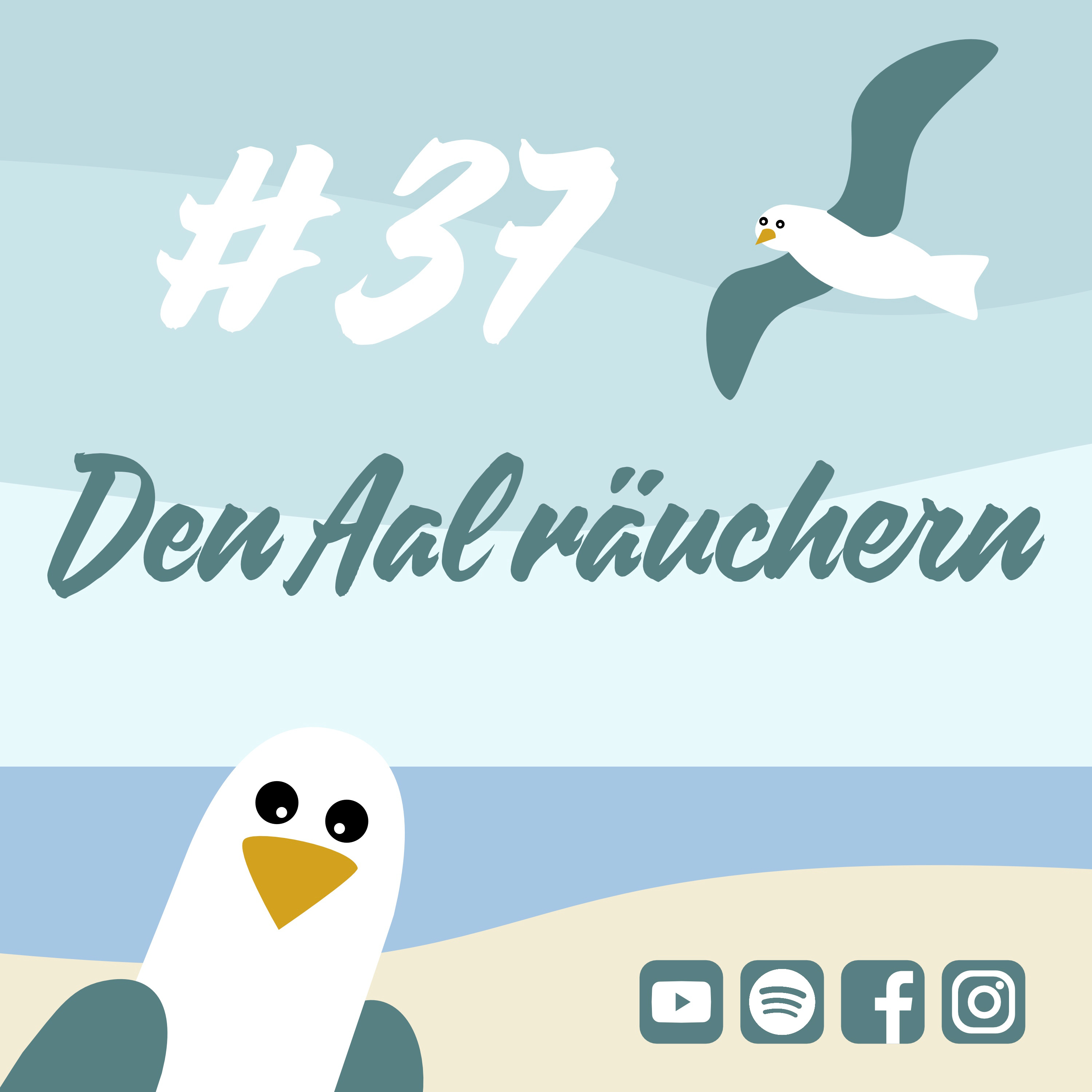 Möwenschiet
