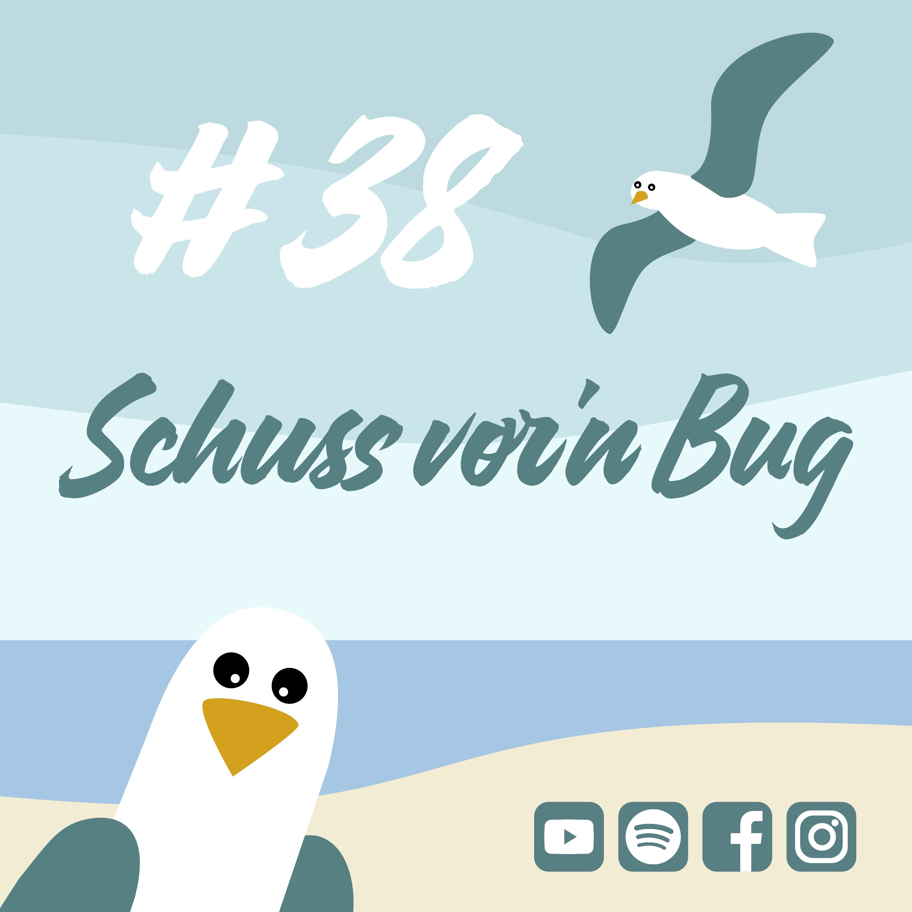 Möwenschiet