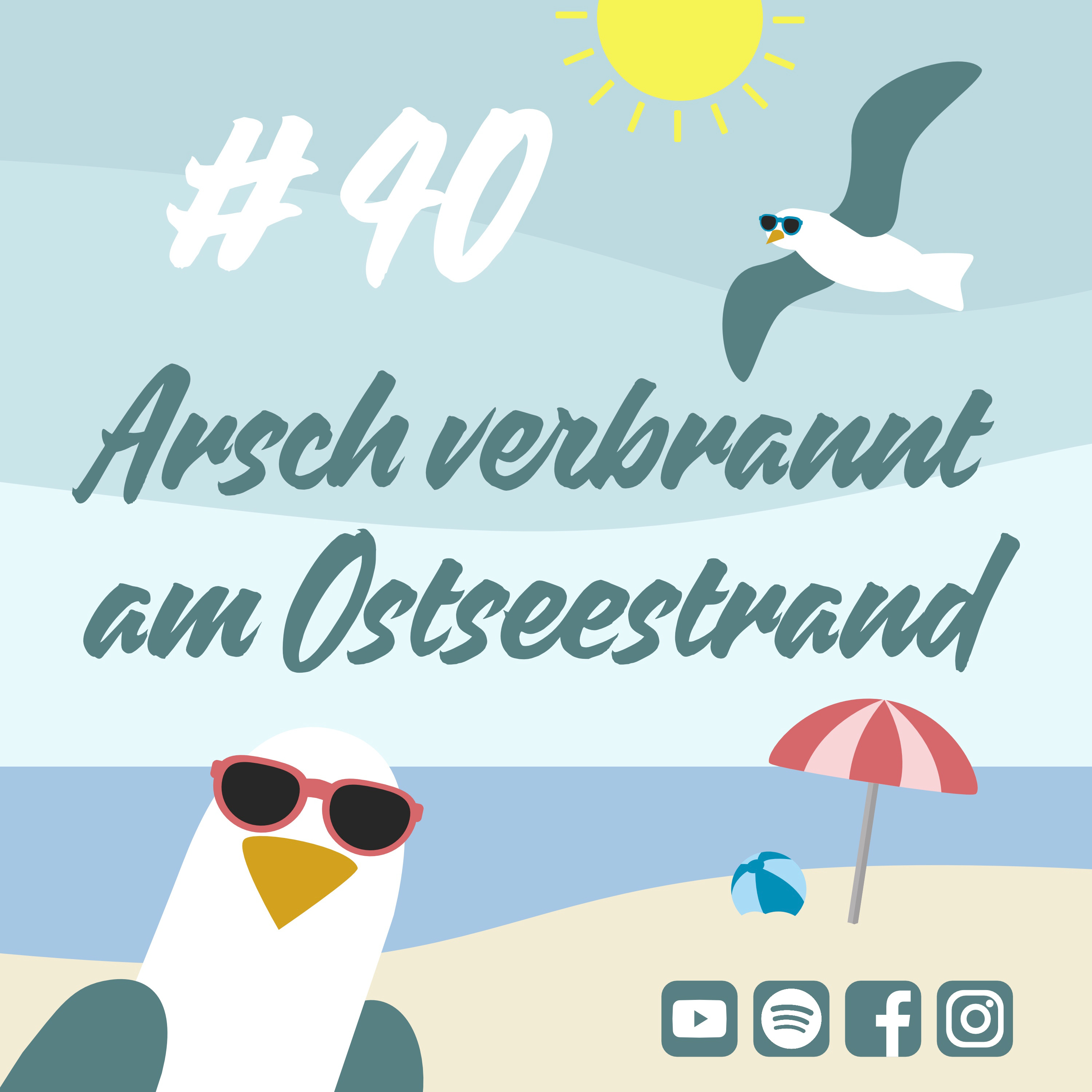 Möwenschiet