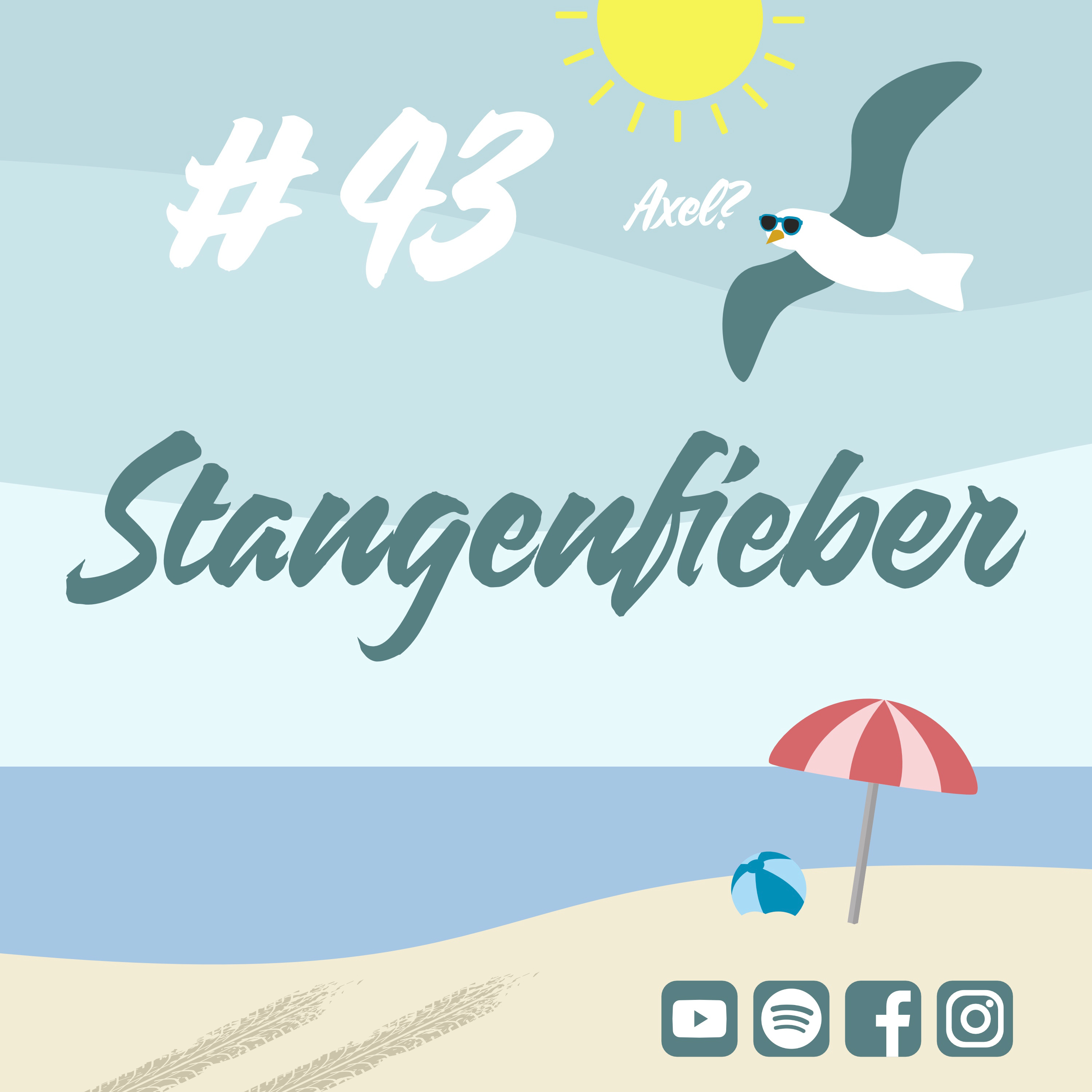 Möwenschiet