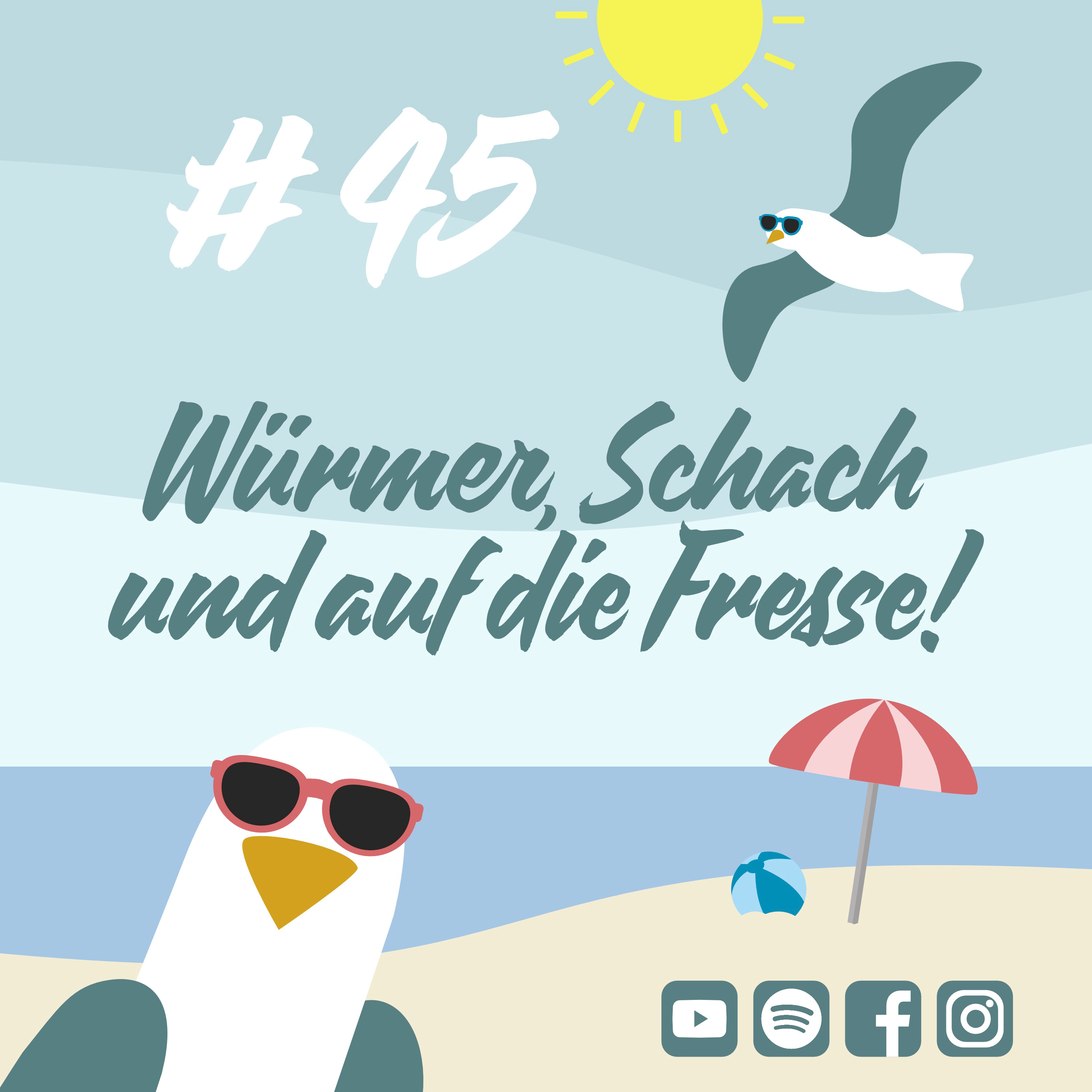 Möwenschiet