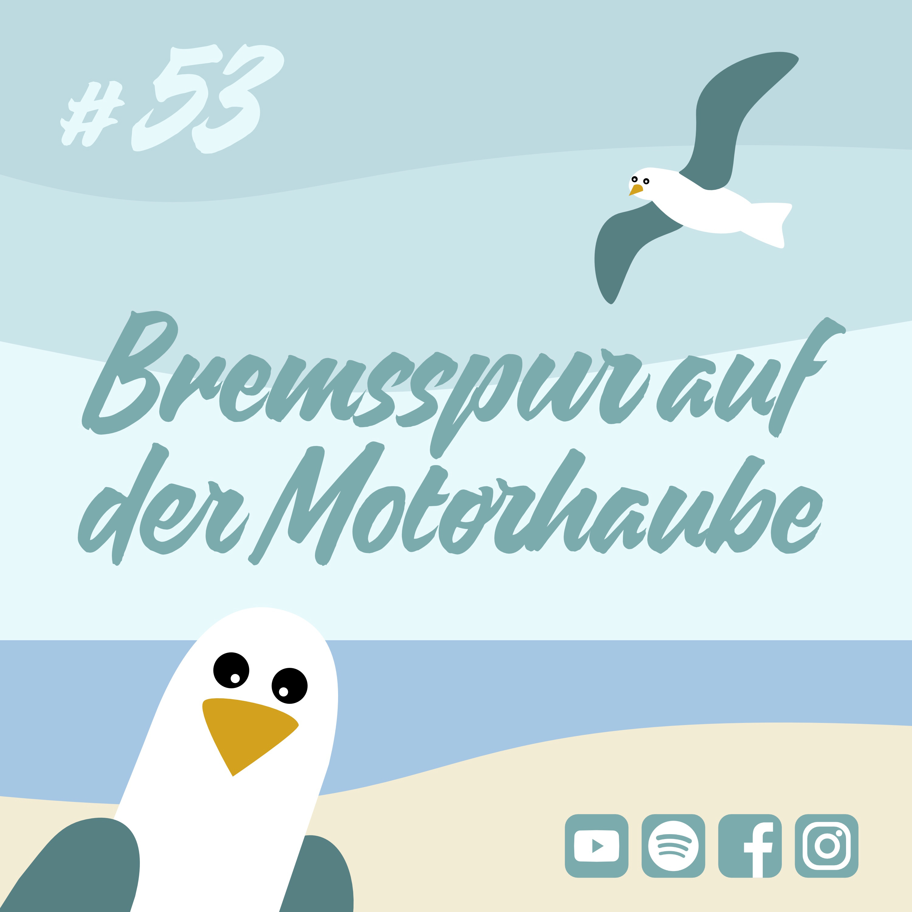 Möwenschiet
