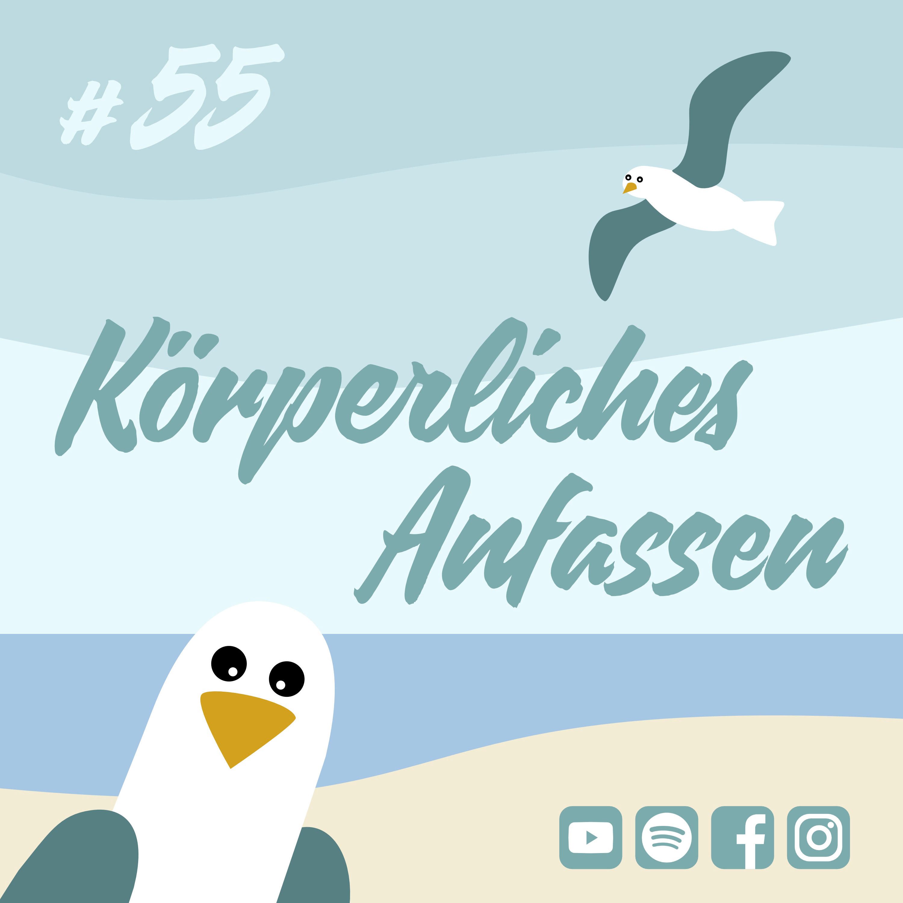 Möwenschiet
