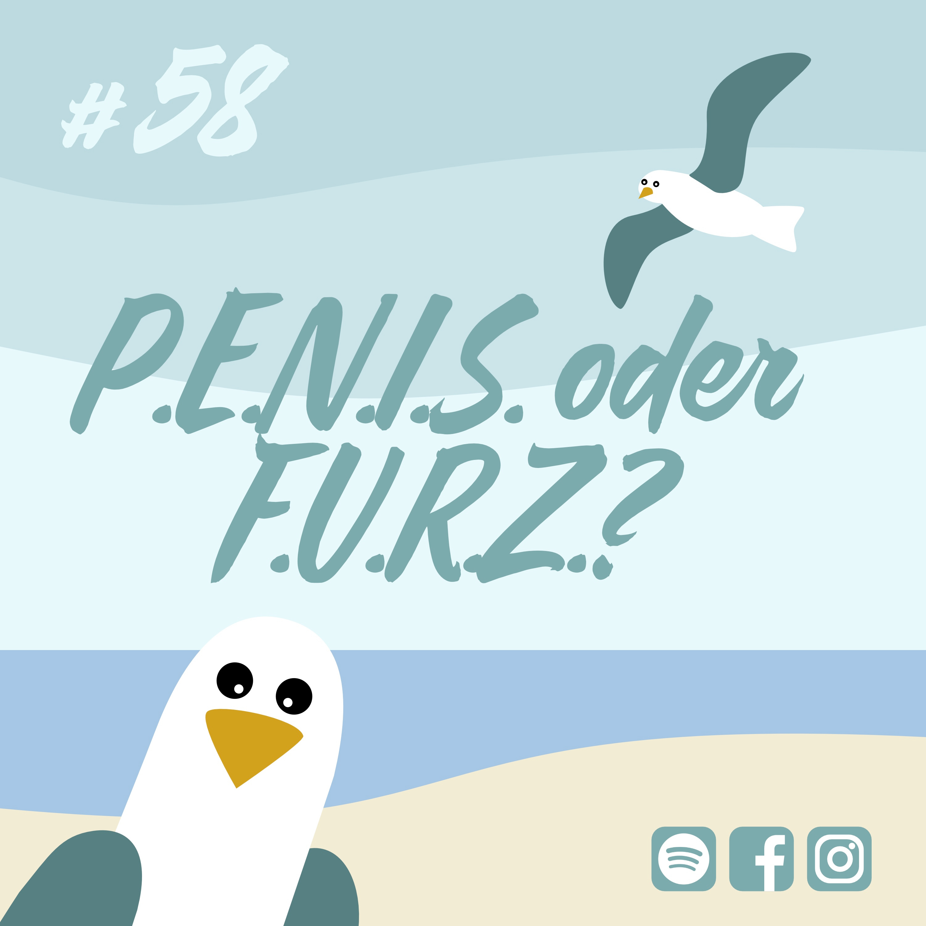 Möwenschiet