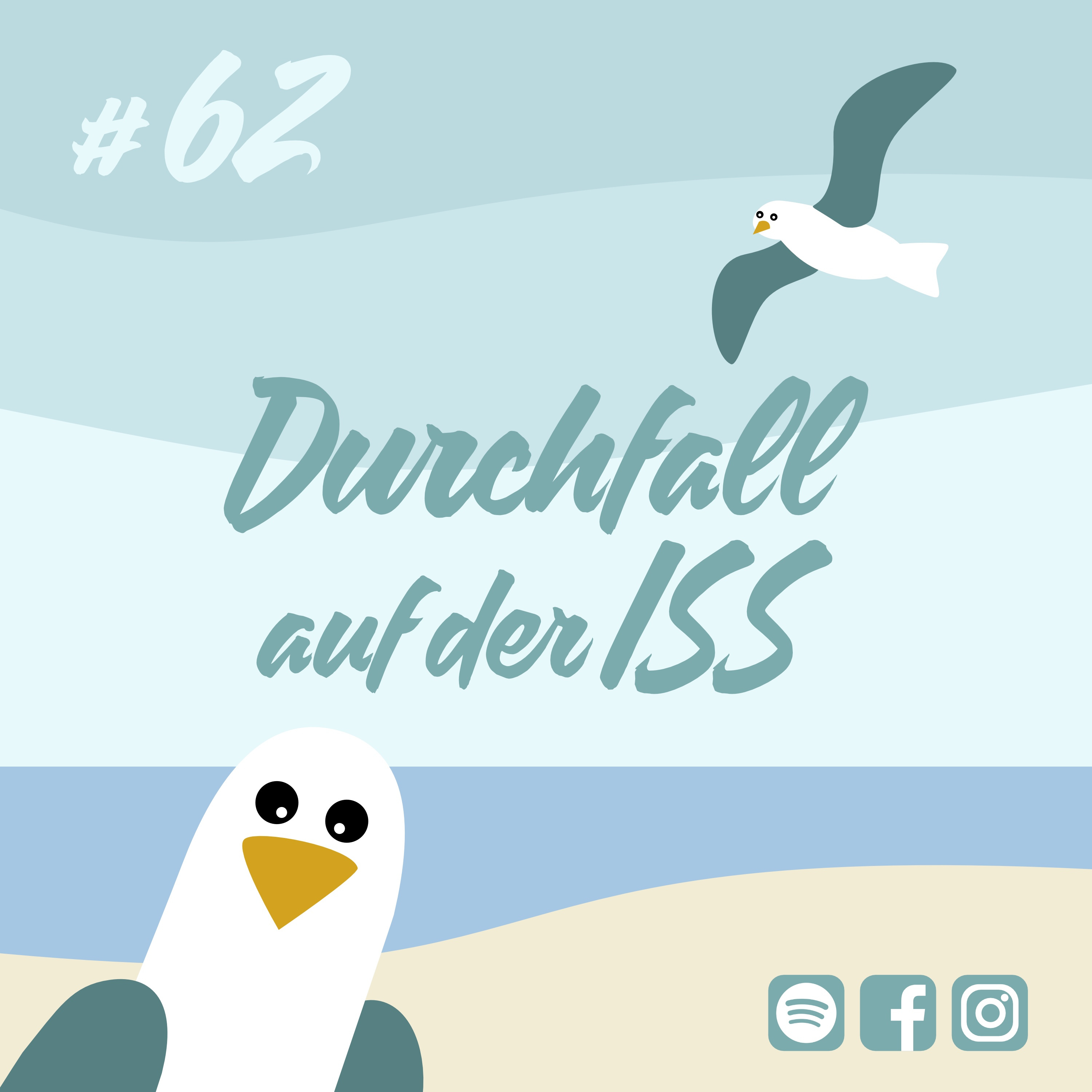 Möwenschiet