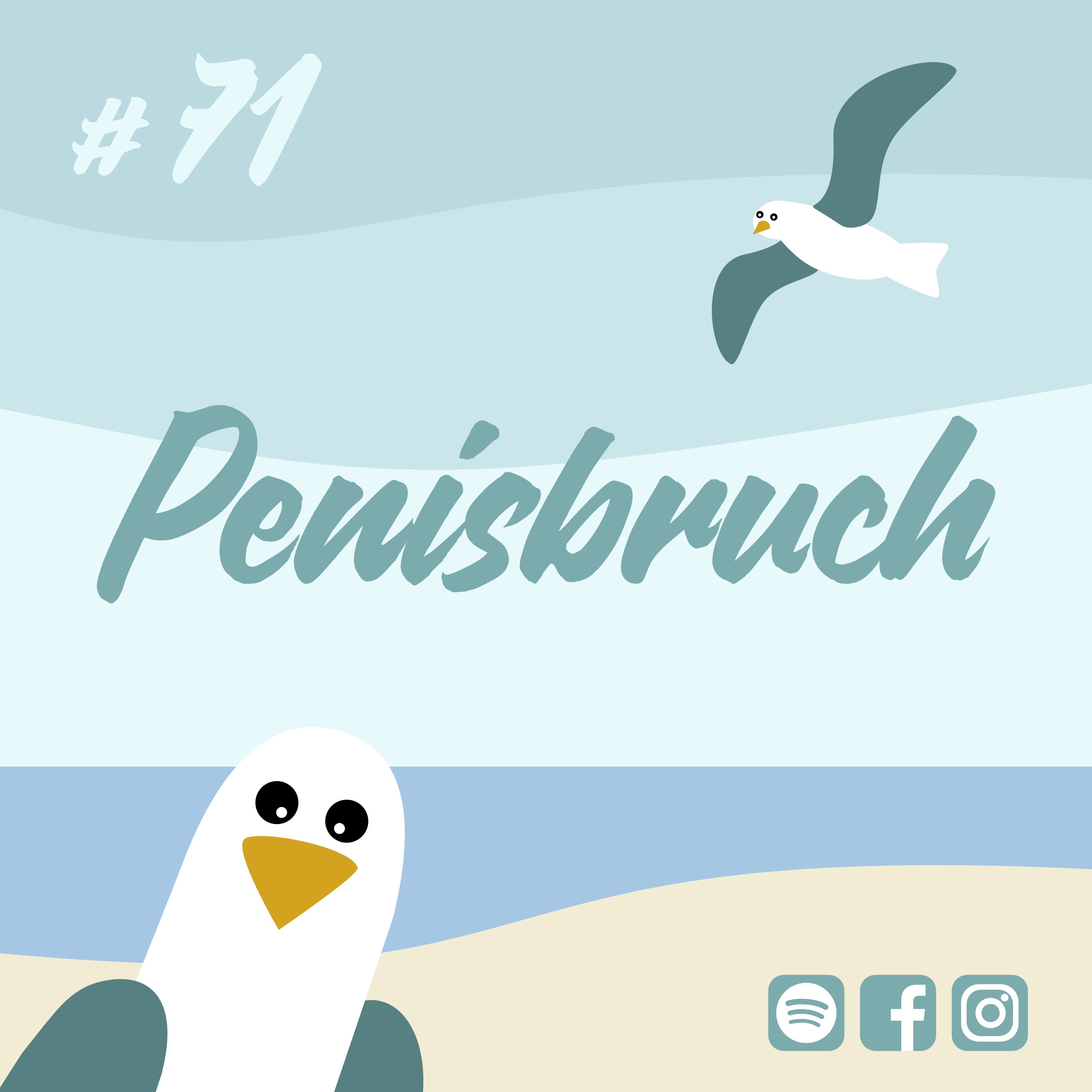 Möwenschiet