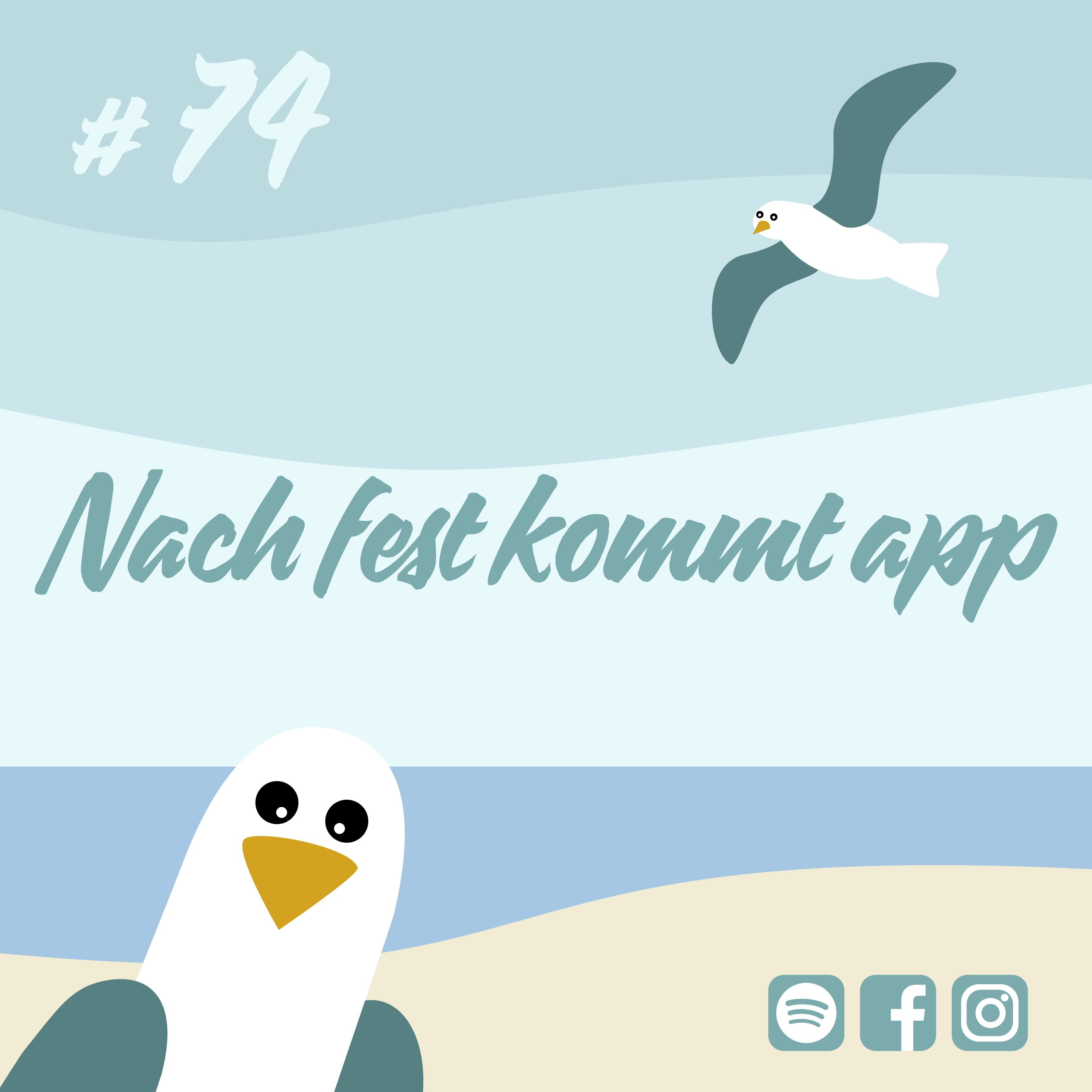 Möwenschiet