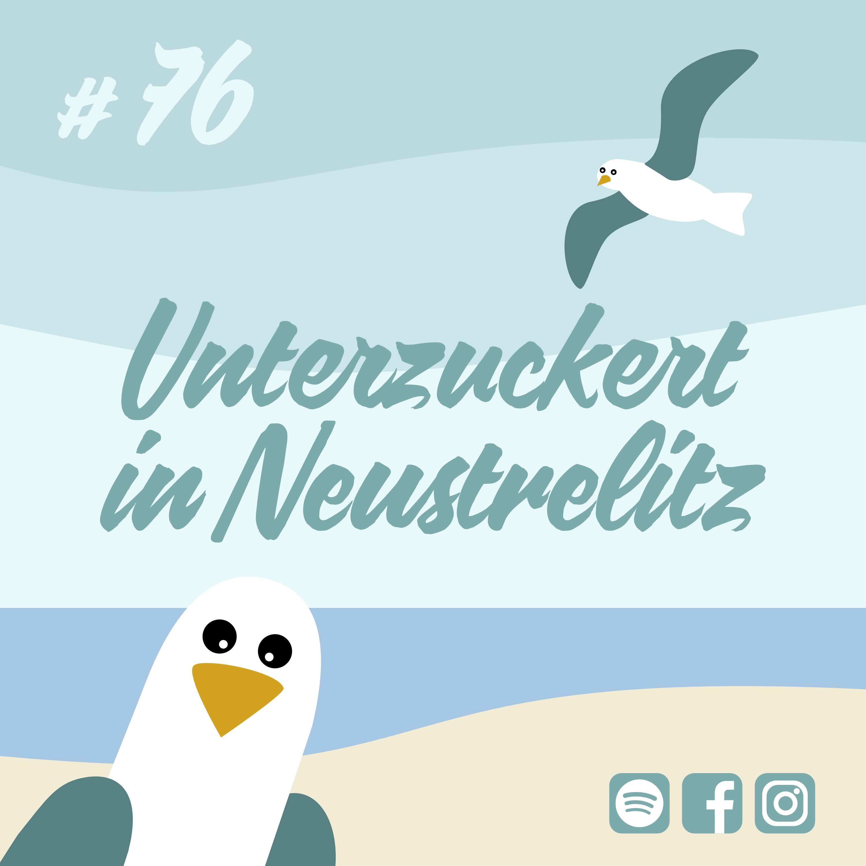 Möwenschiet