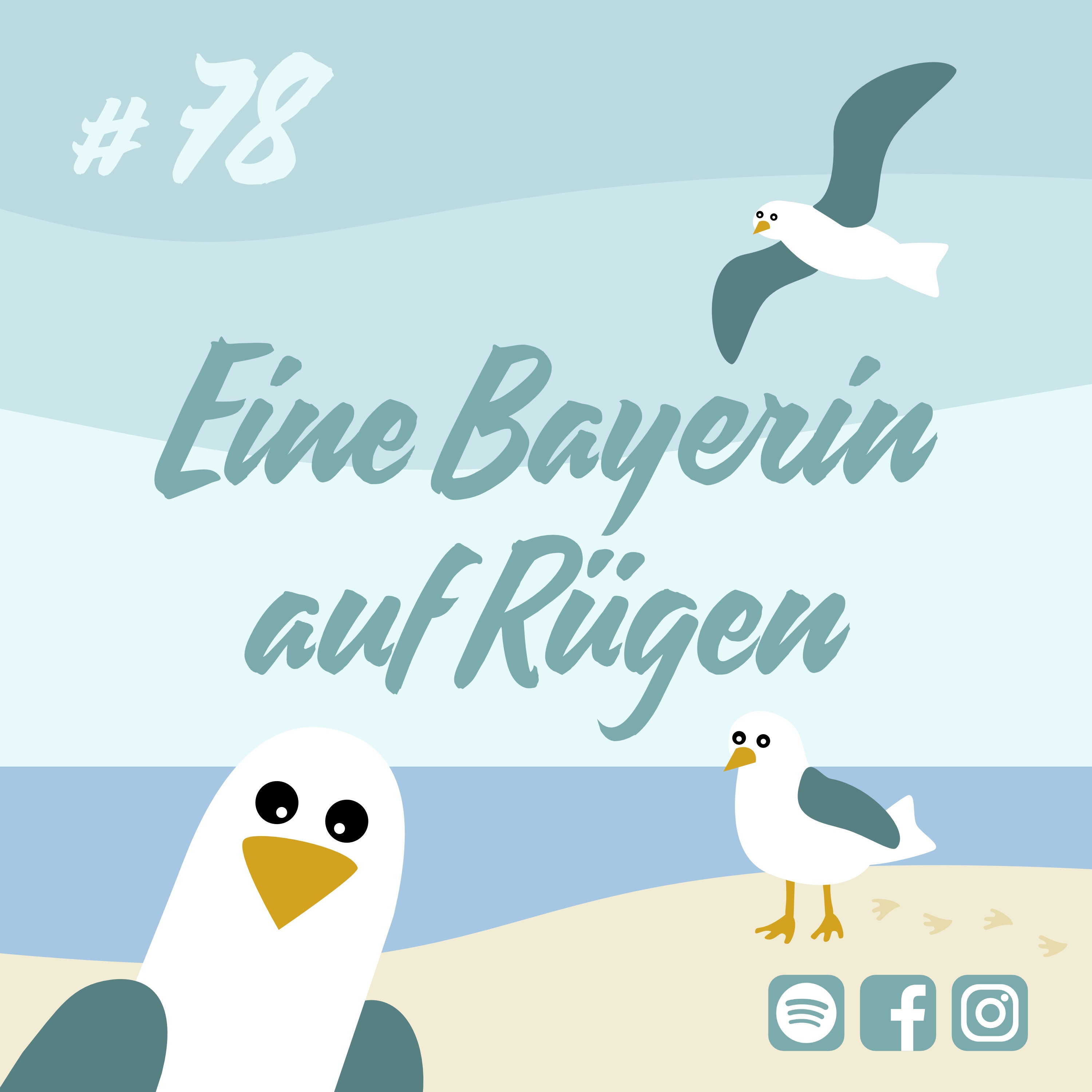 Möwenschiet