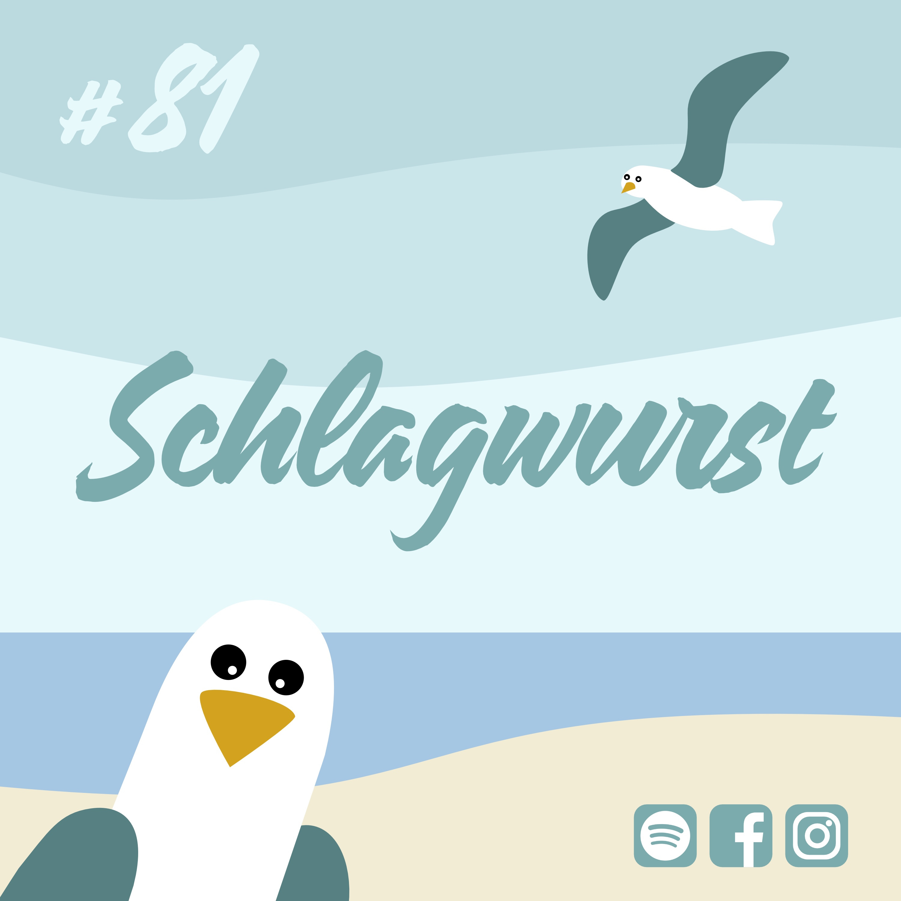 Möwenschiet