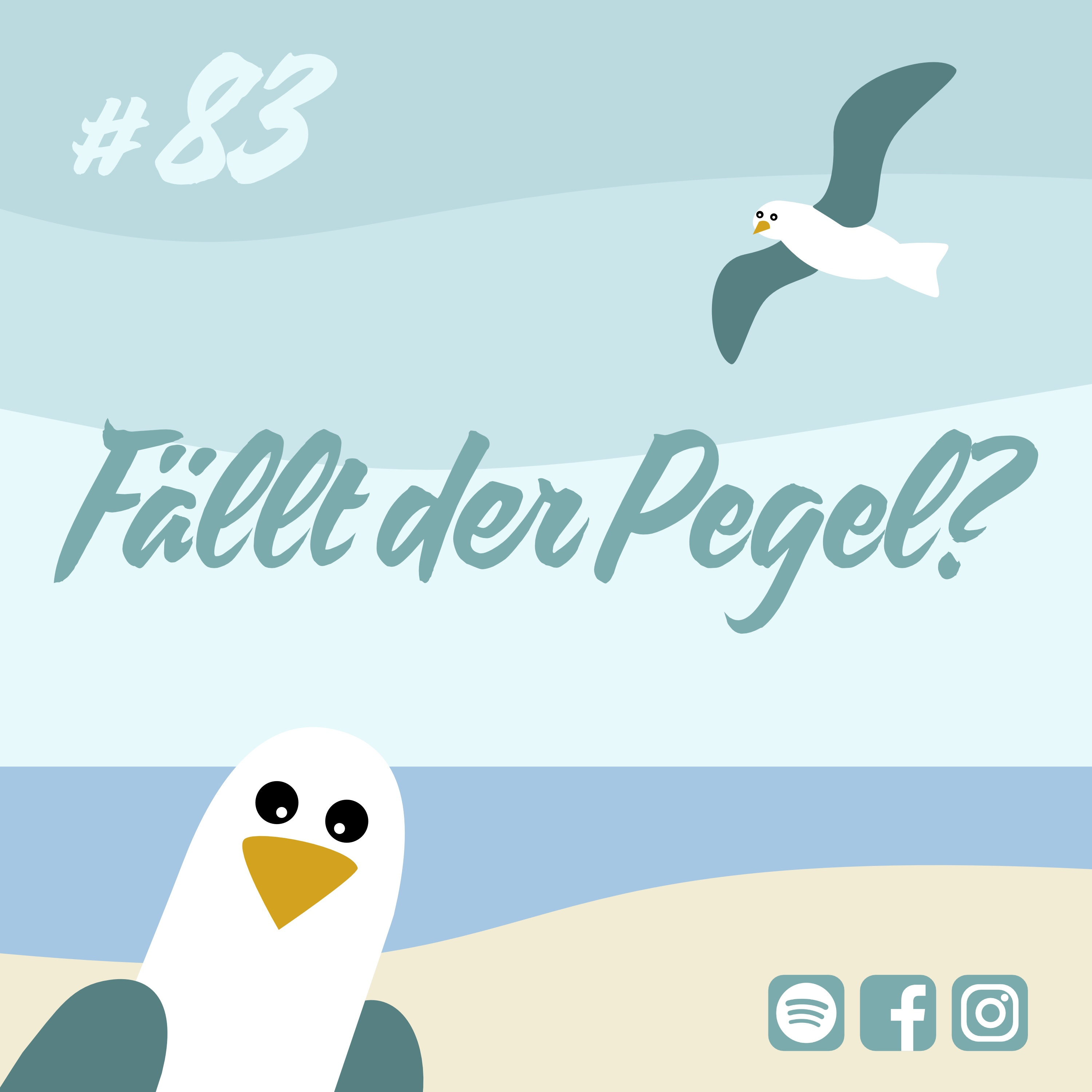 Möwenschiet