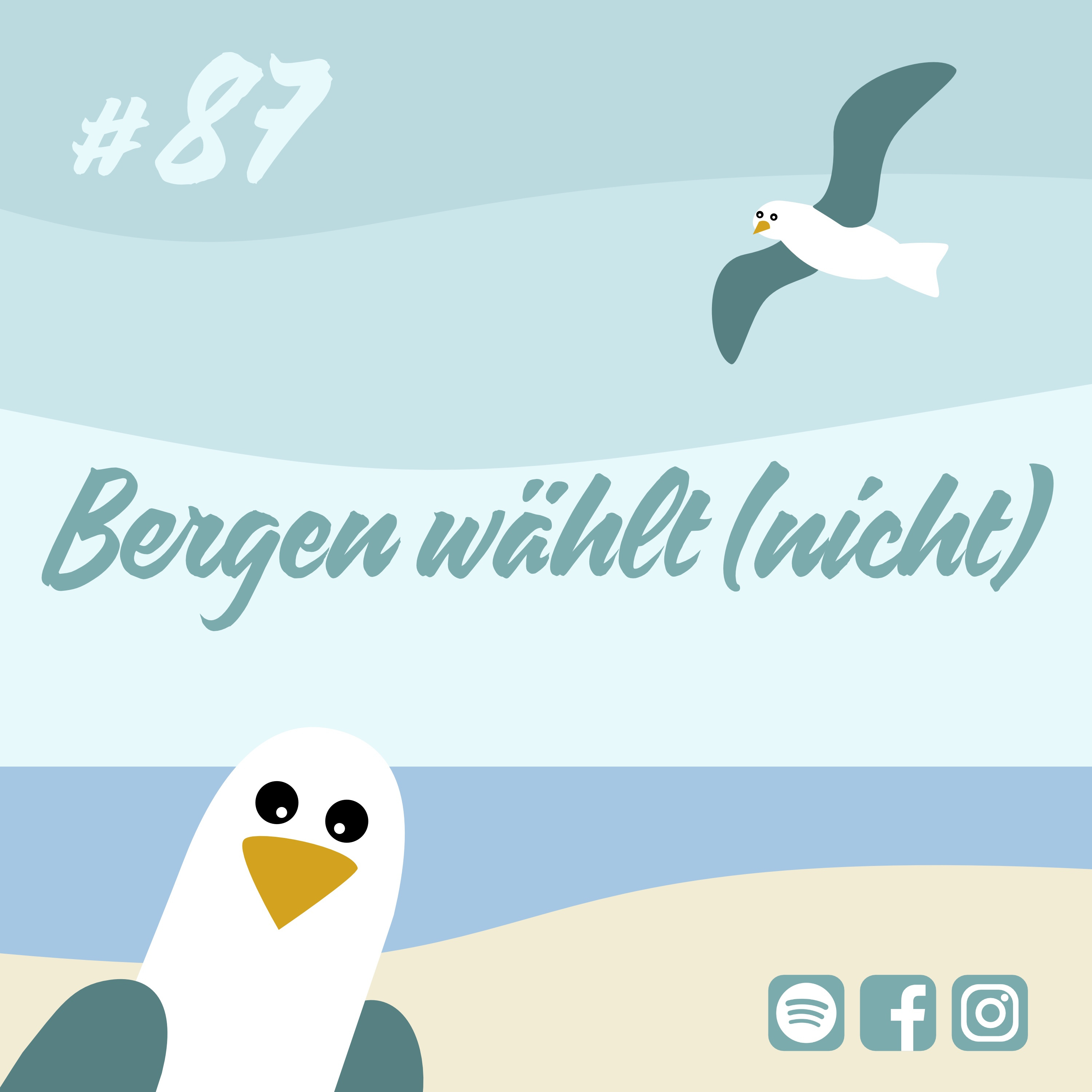 Möwenschiet