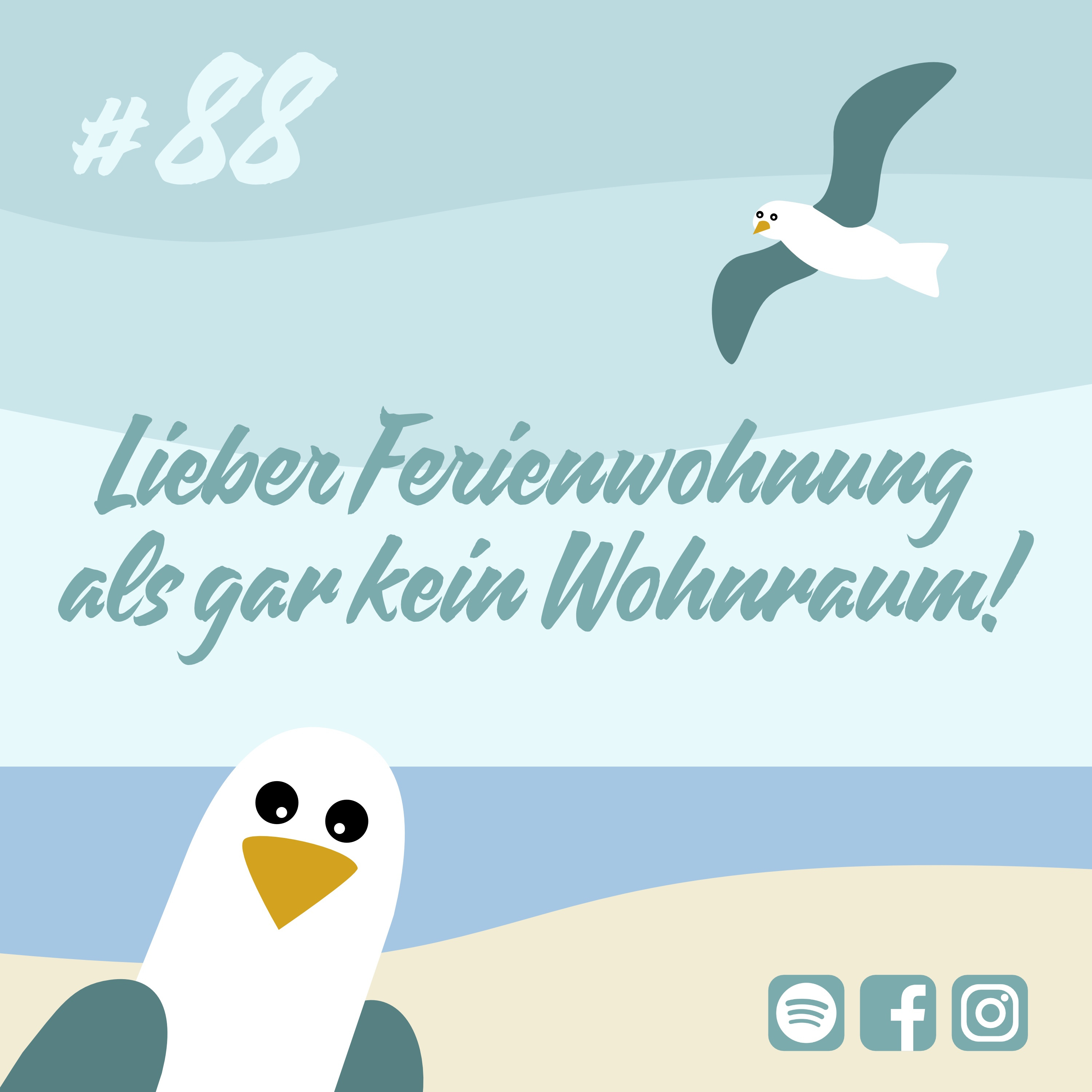 Möwenschiet